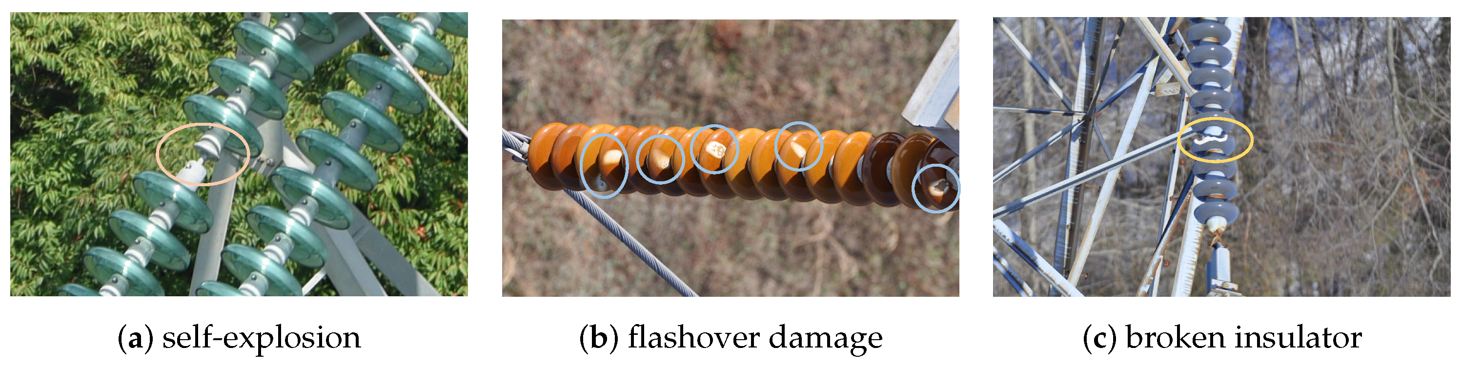 Entropy 26 00136 g001