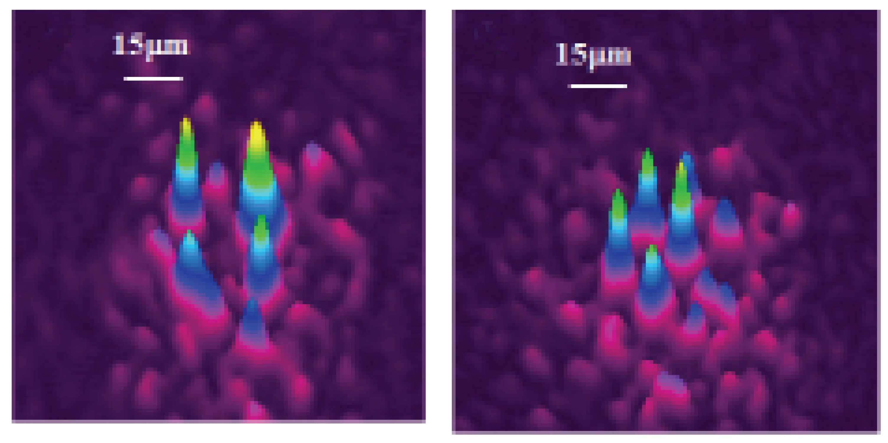 Entropy 26 00137 g003