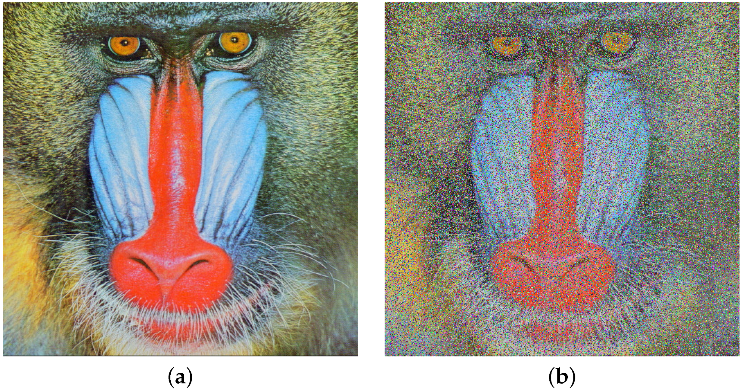 Entropy 26 00154 g005