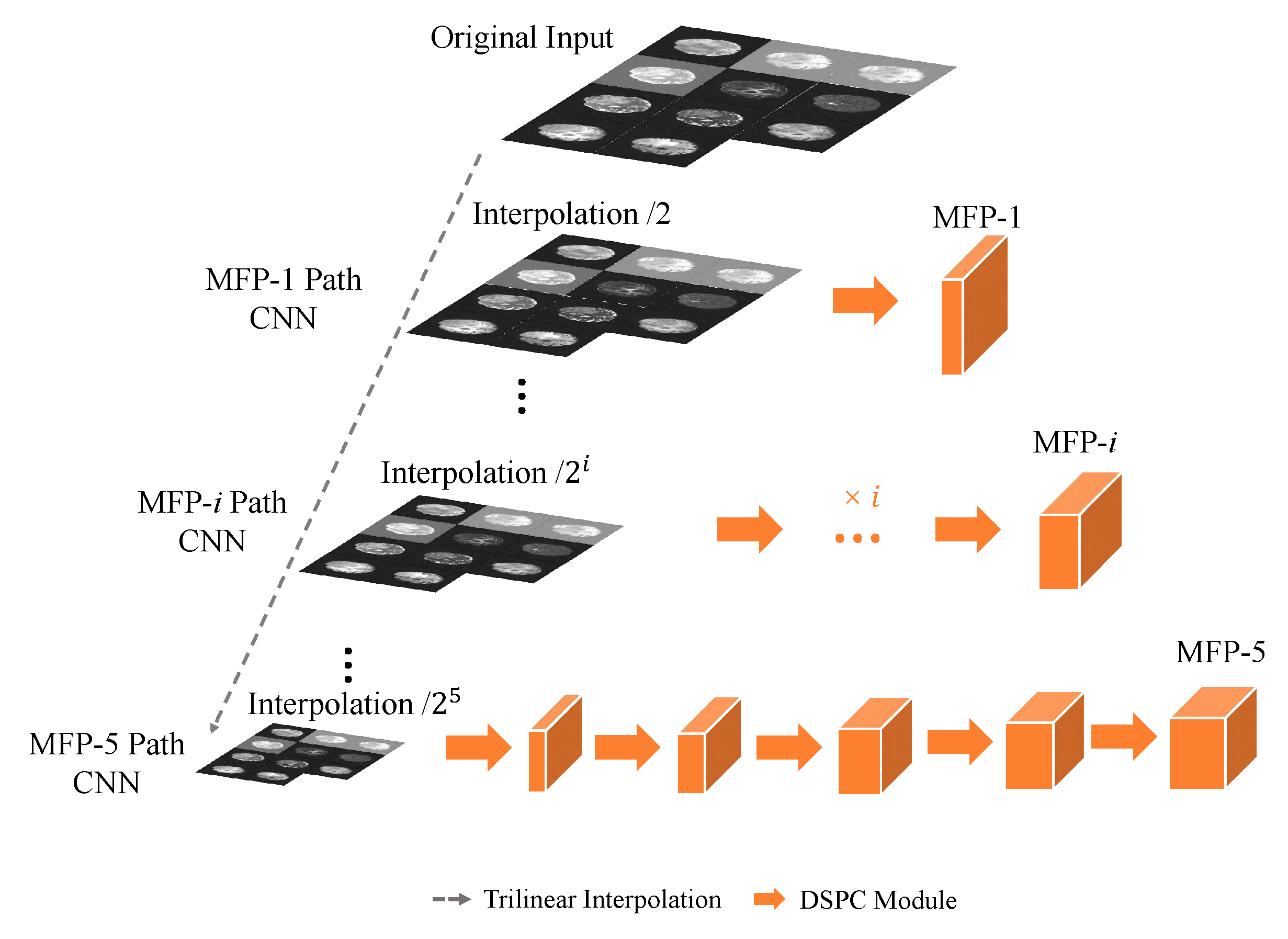 Entropy 26 00166 g003