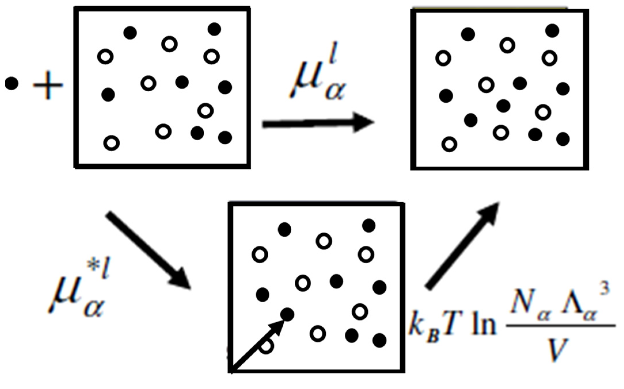 Entropy 26 00174 g001