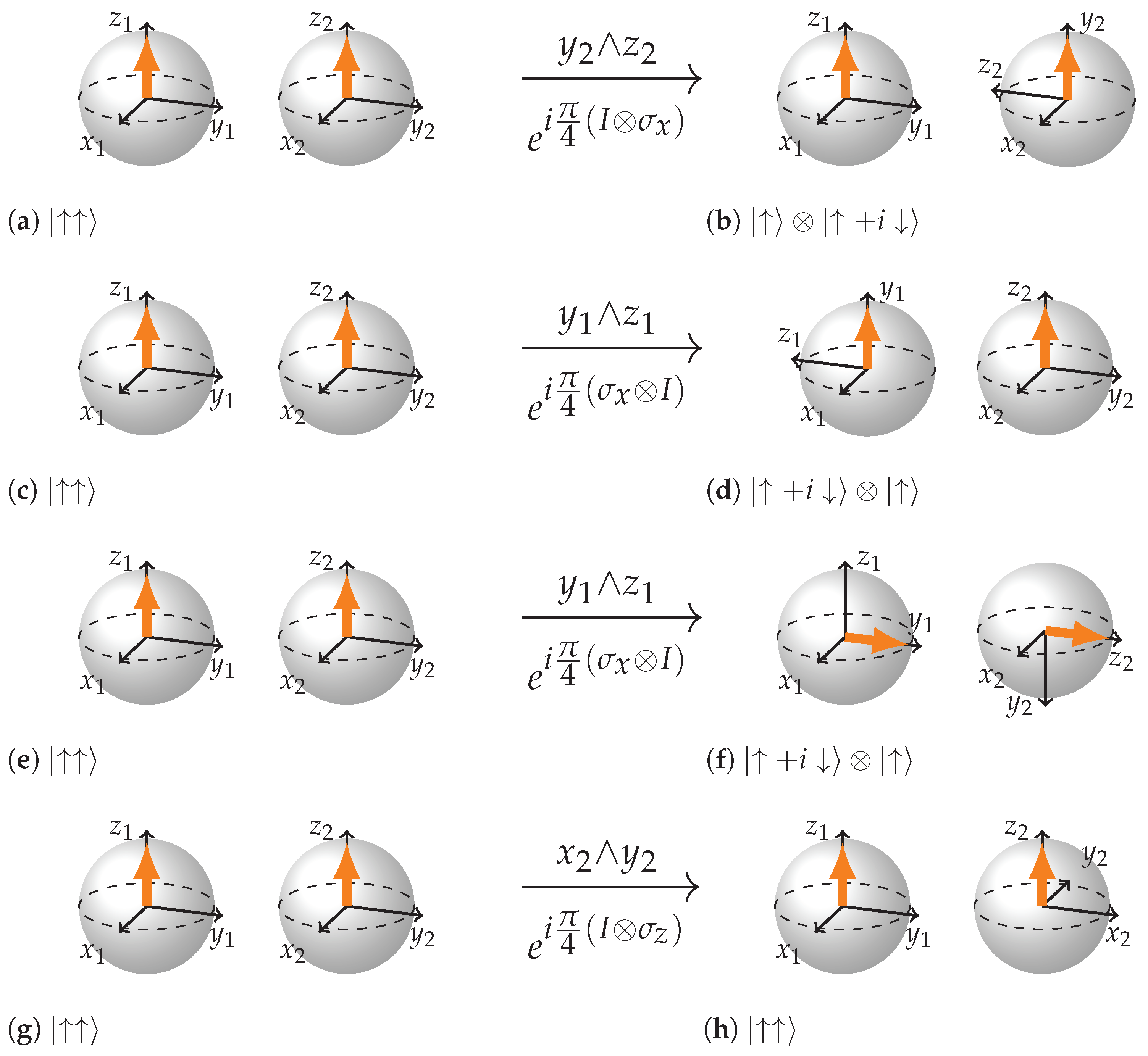 Entropy 26 00280 g003