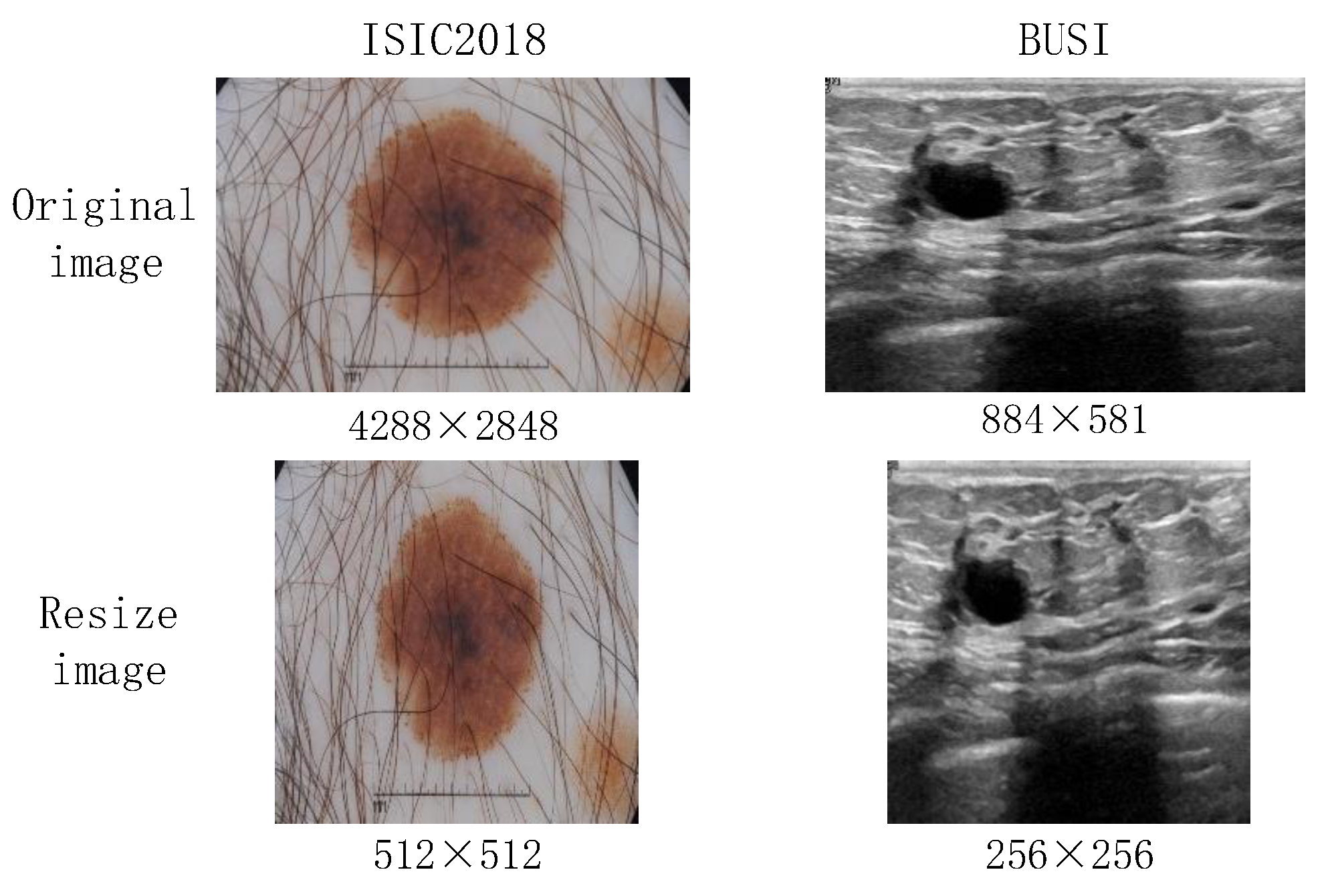 Entropy 26 00284 g002
