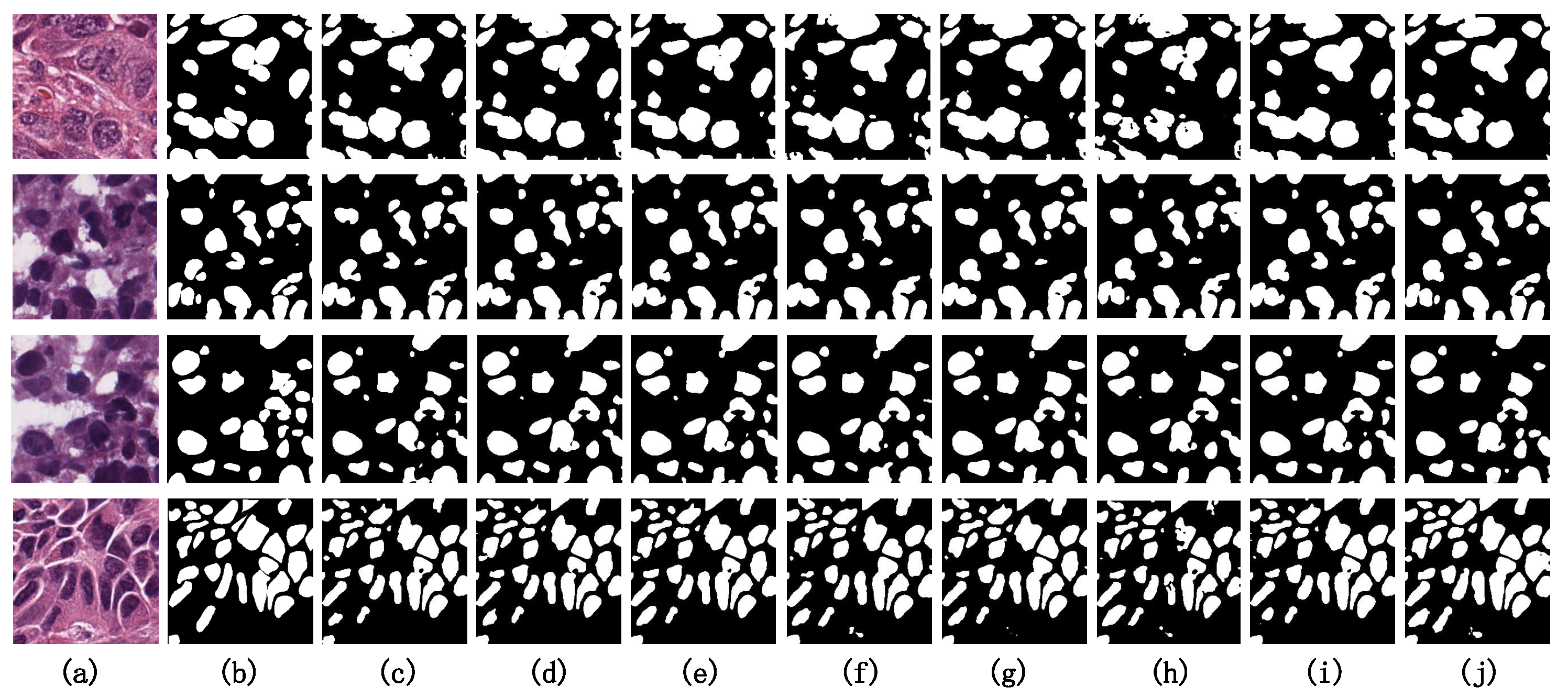 Entropy 26 00284 g009