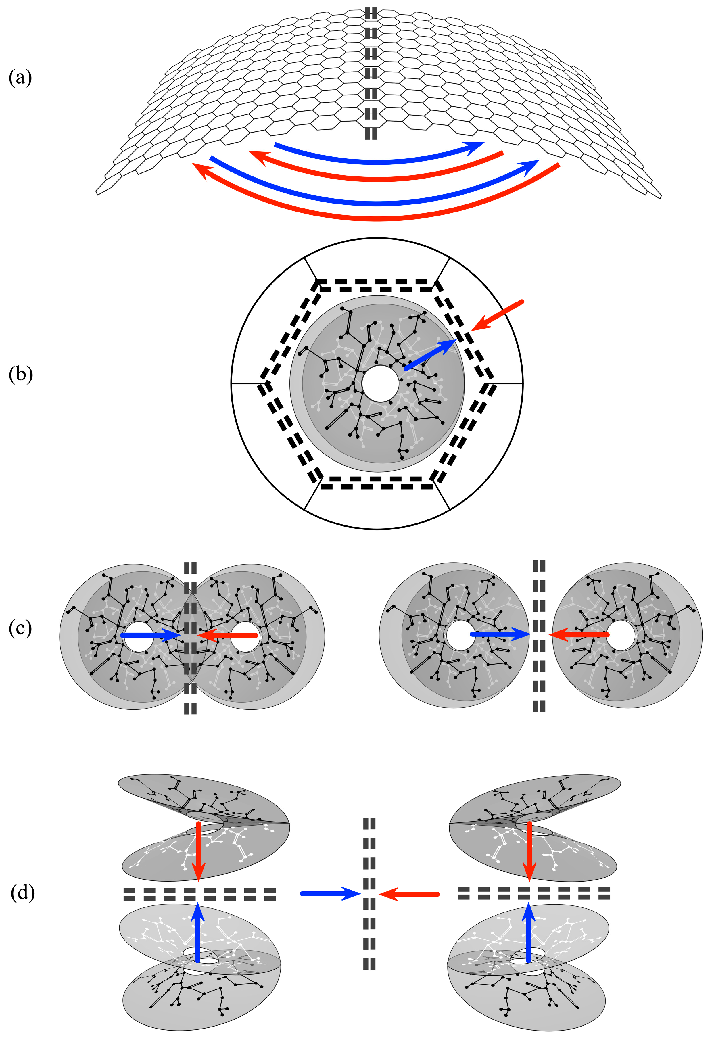 Entropy 26 00287 g004 Entropy 26 00287 g004