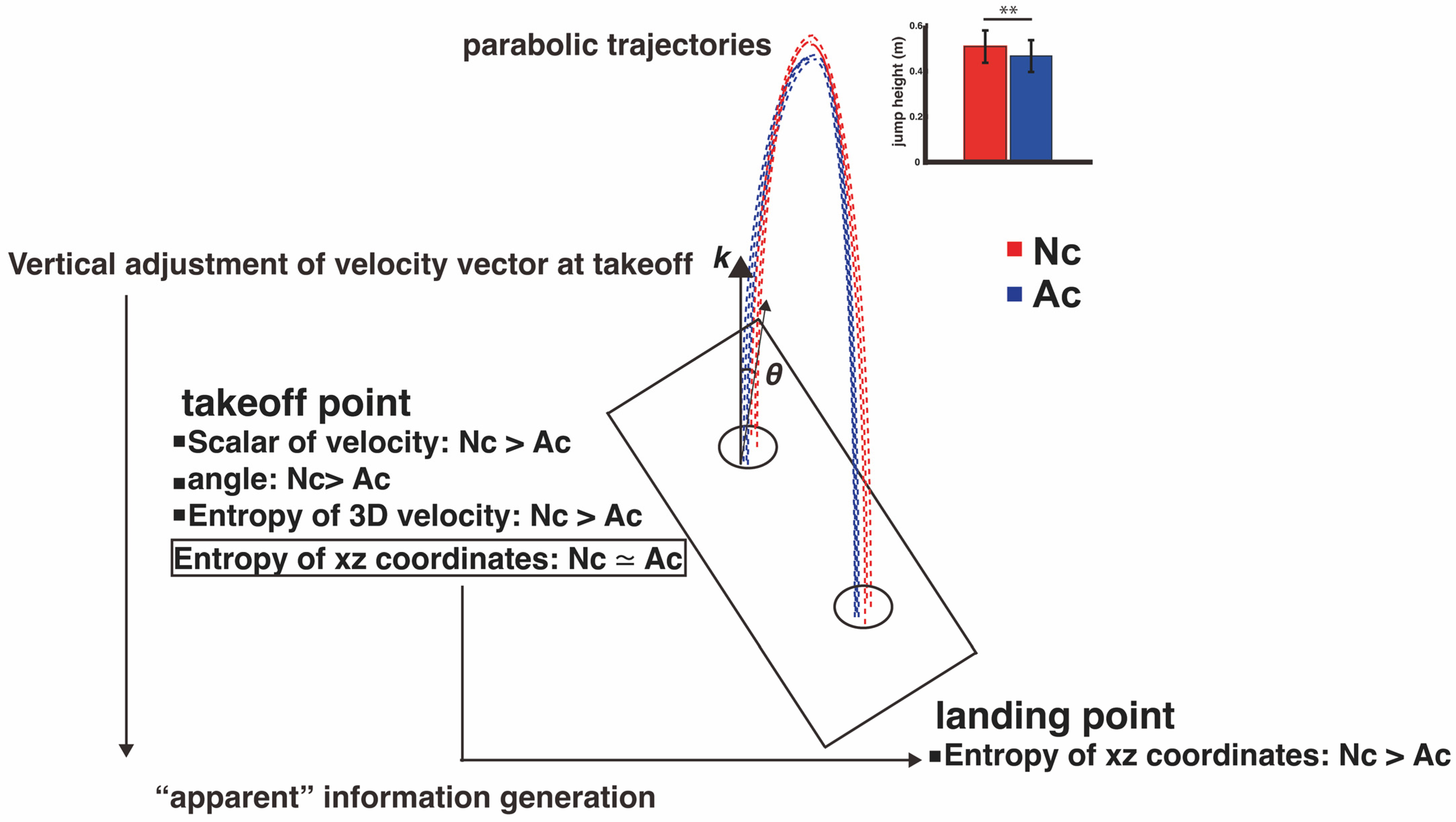 Entropy 26 00300 g005