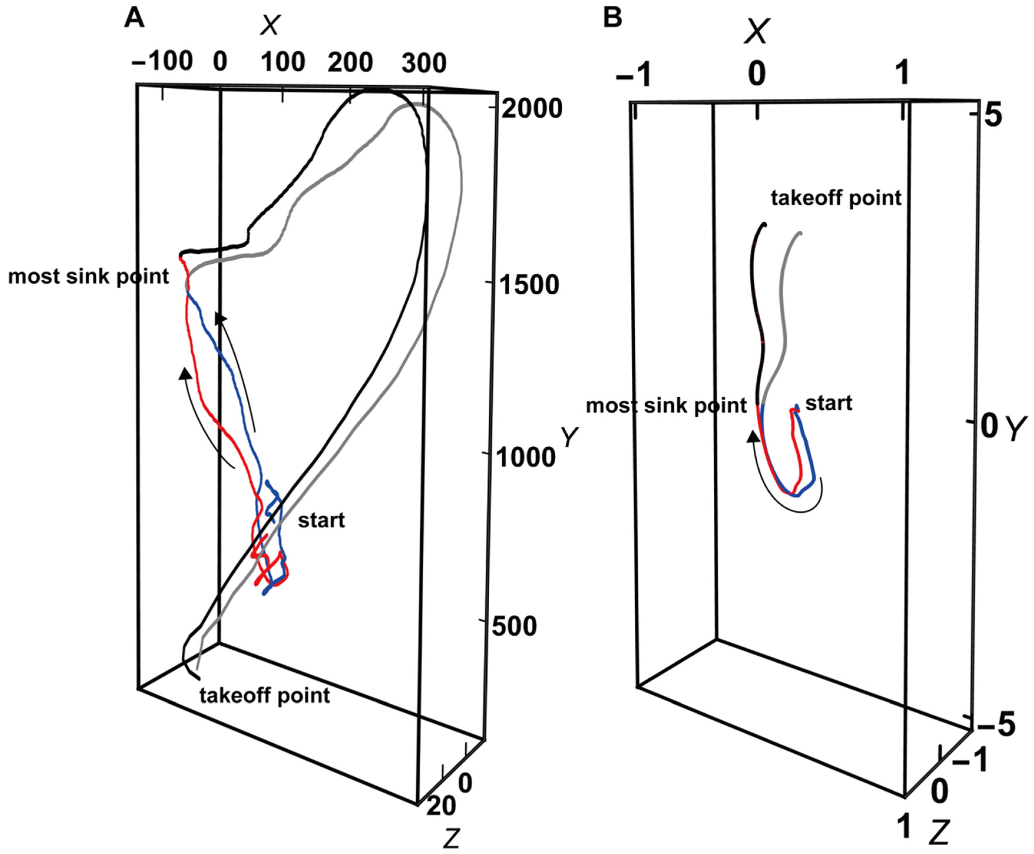 Entropy 26 00300 g006