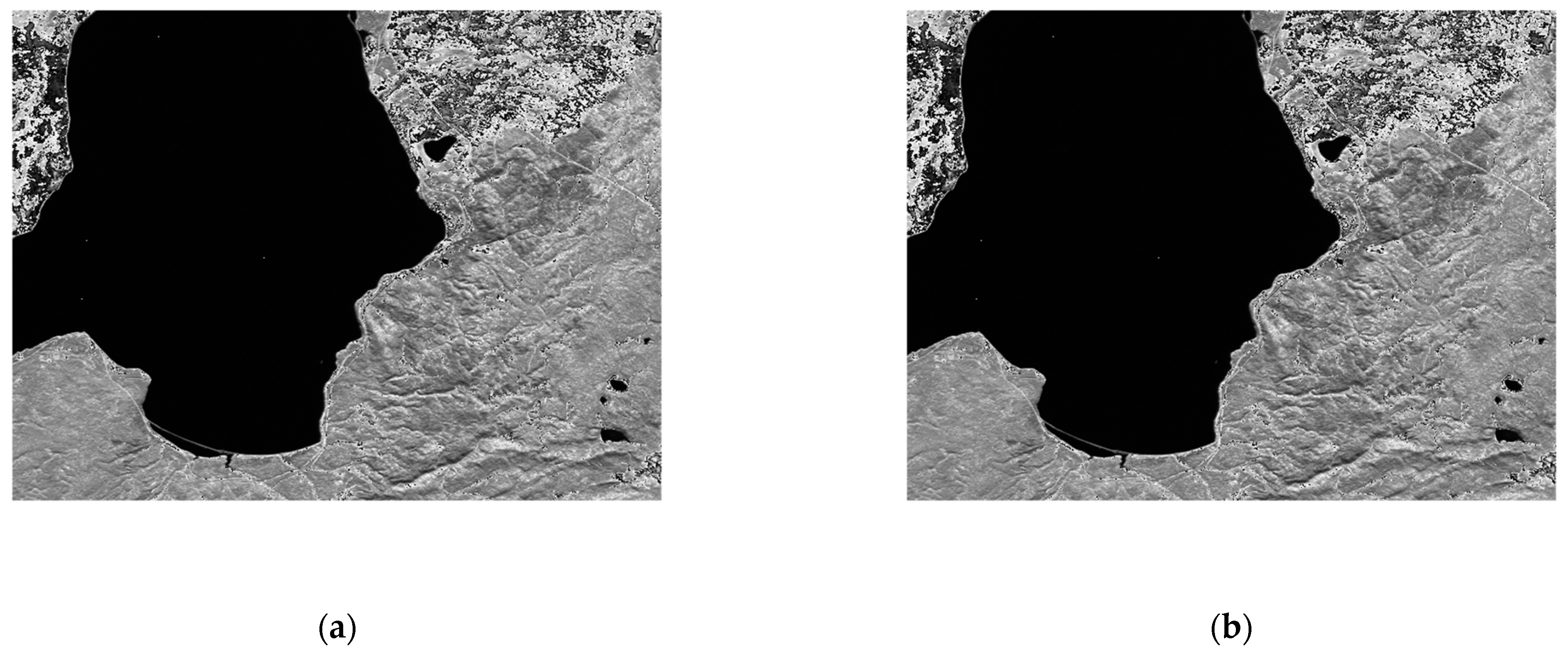 Entropy 26 00316 g010