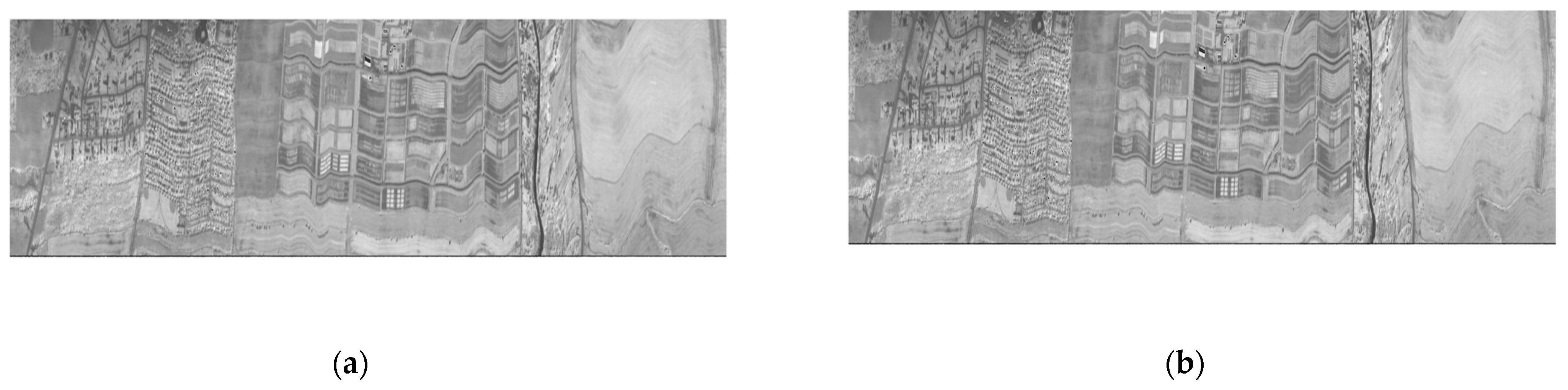 Entropy 26 00316 g013