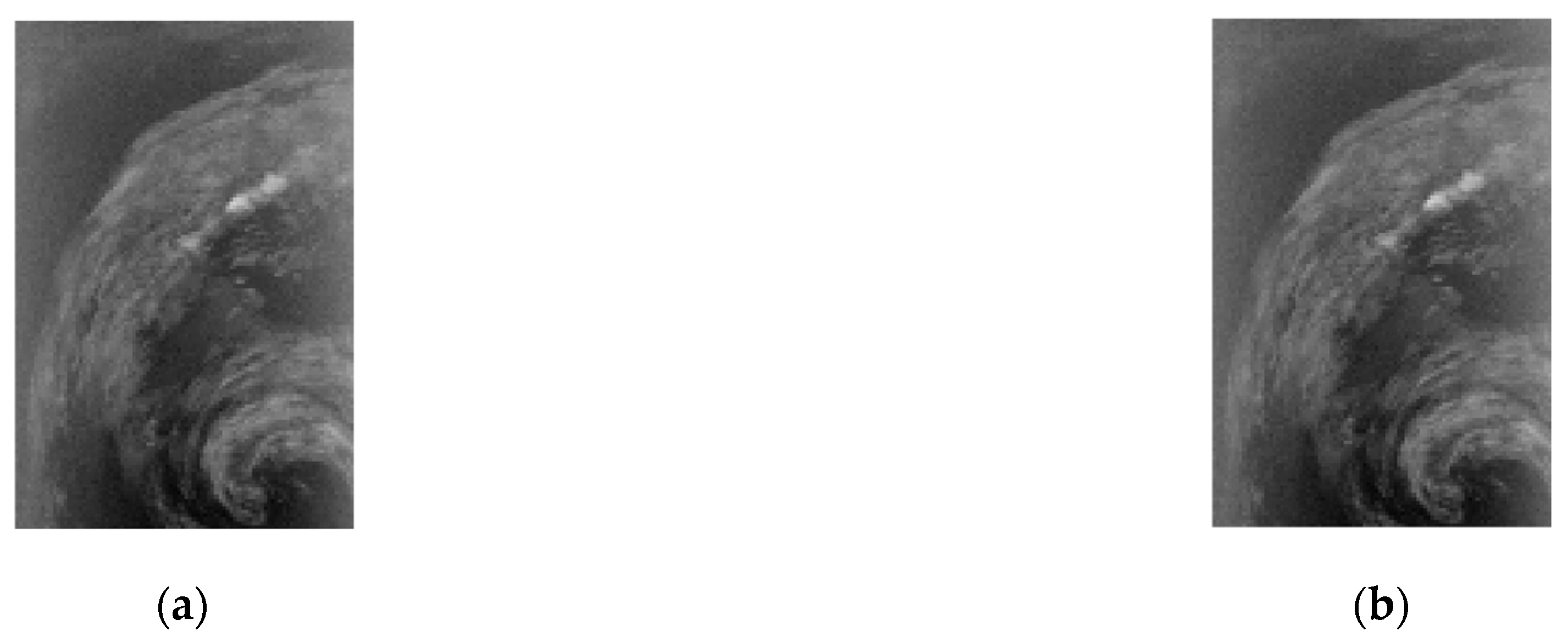 Entropy 26 00316 g014