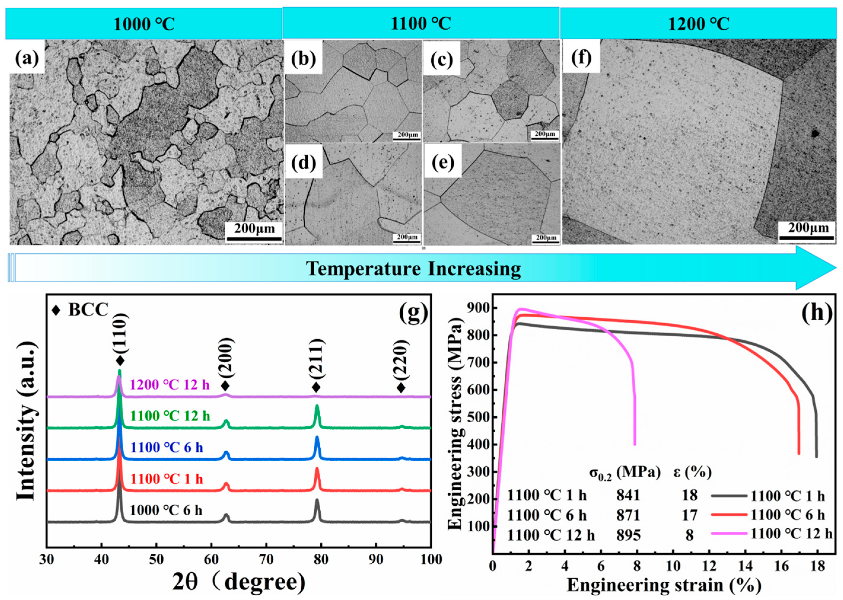 Entropy 26 00340 g002