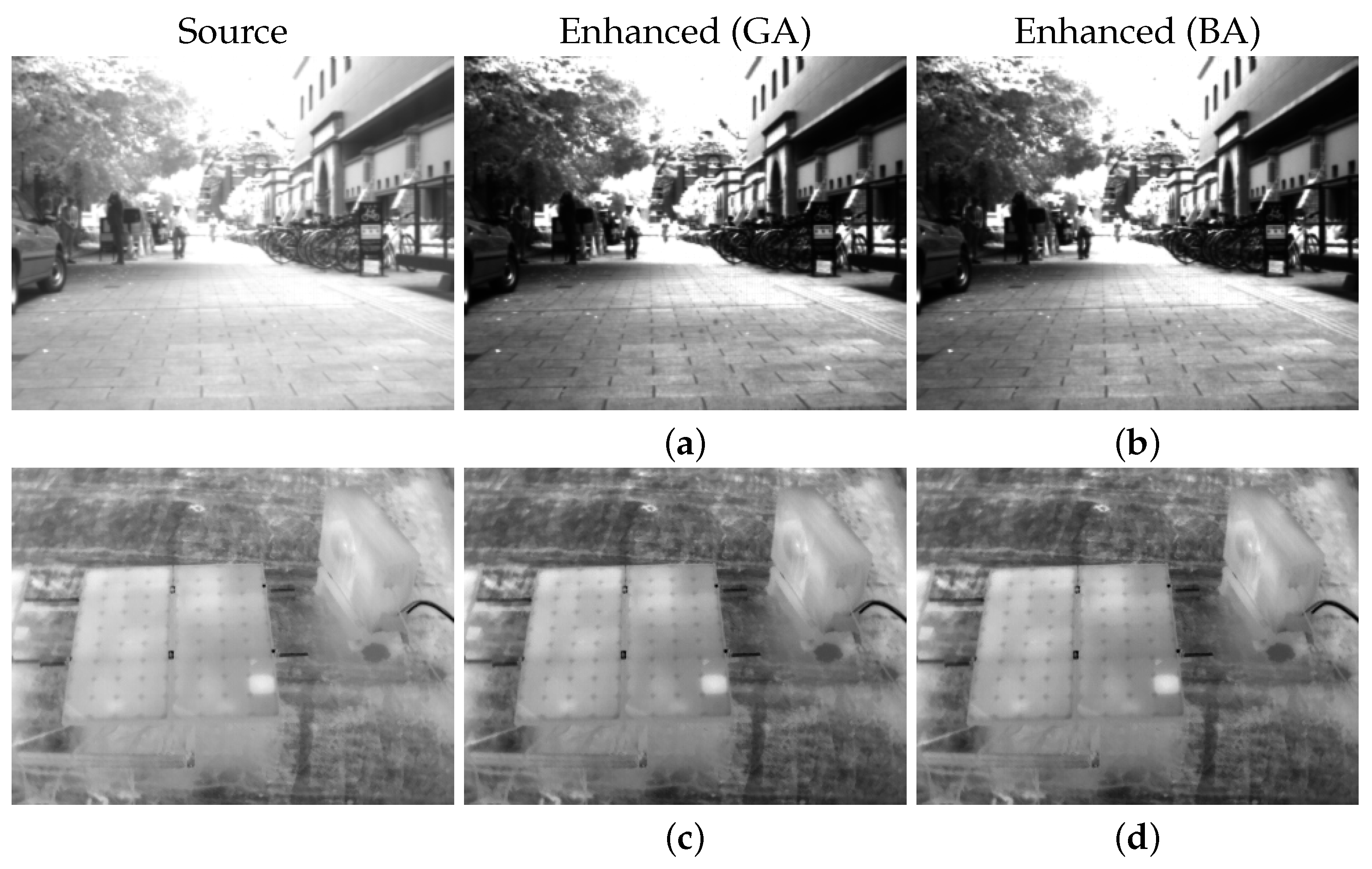 Entropy 26 00374 g007a