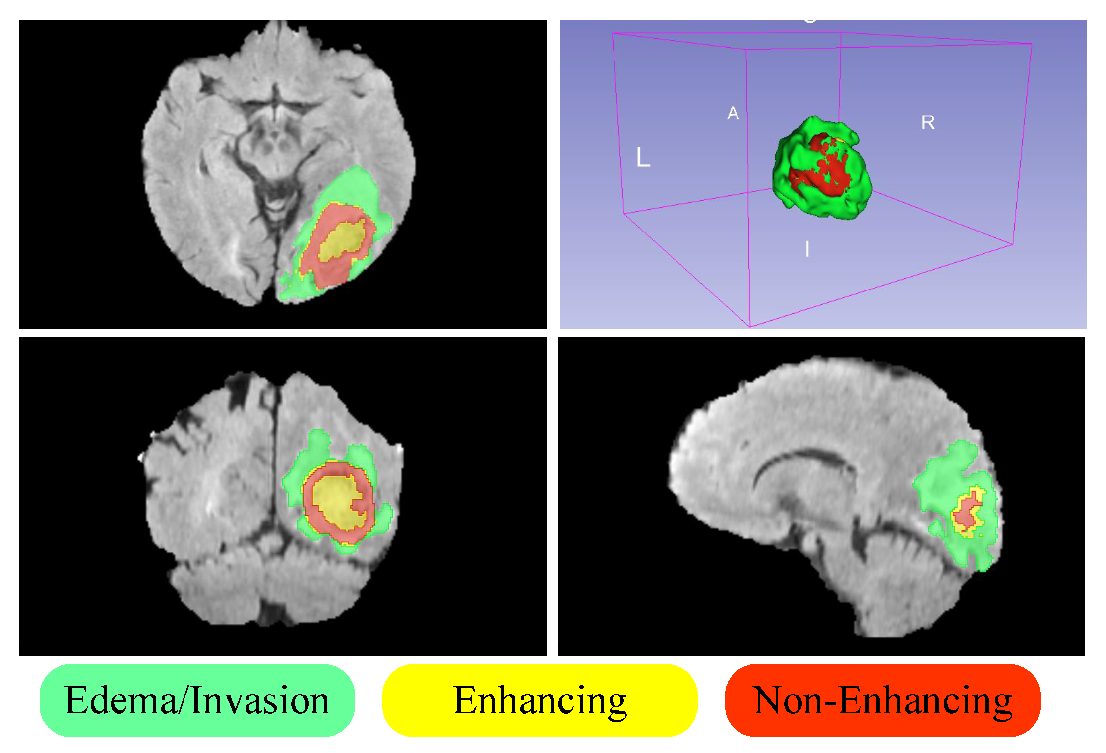 Entropy 26 00385 g001