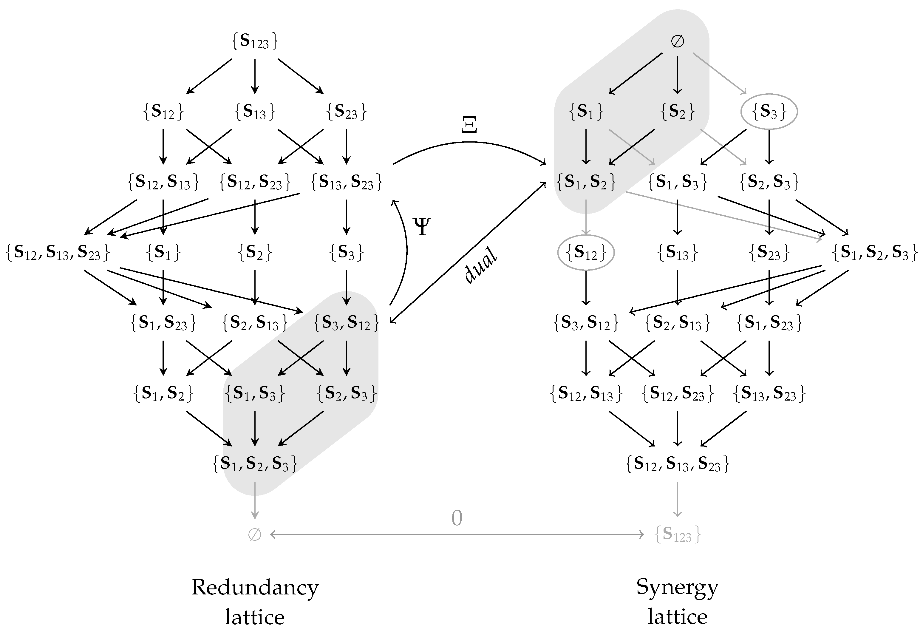 Entropy 26 00424 g008