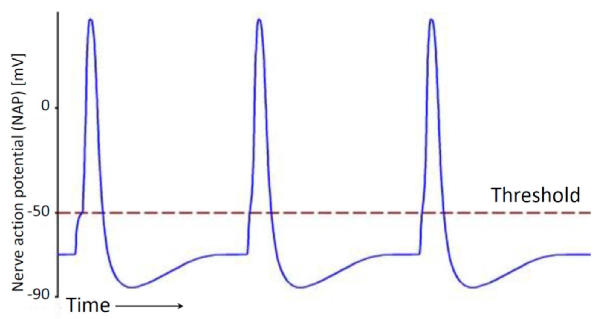 Entropy 26 00430 g001