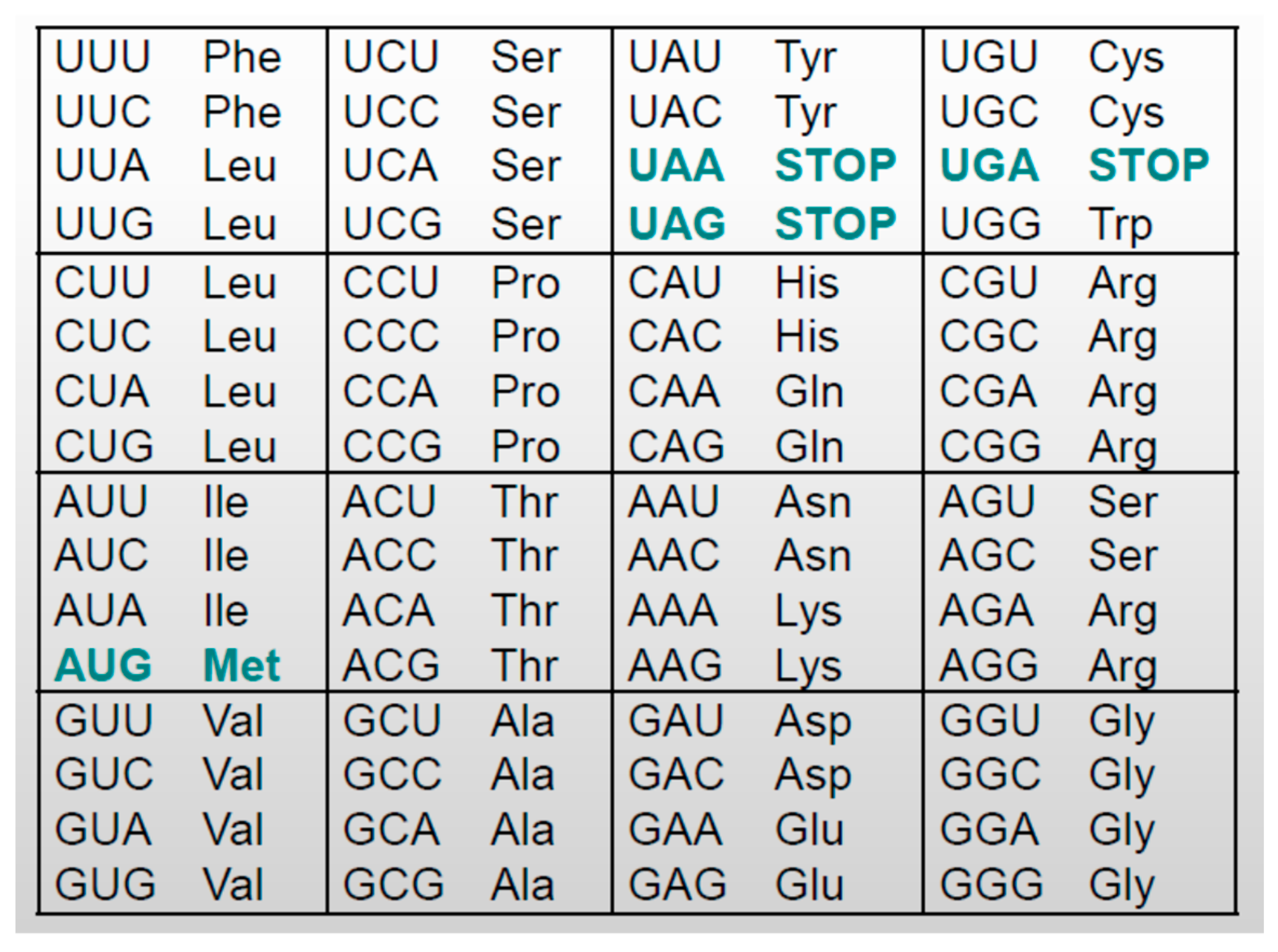 Entropy 26 00430 g002