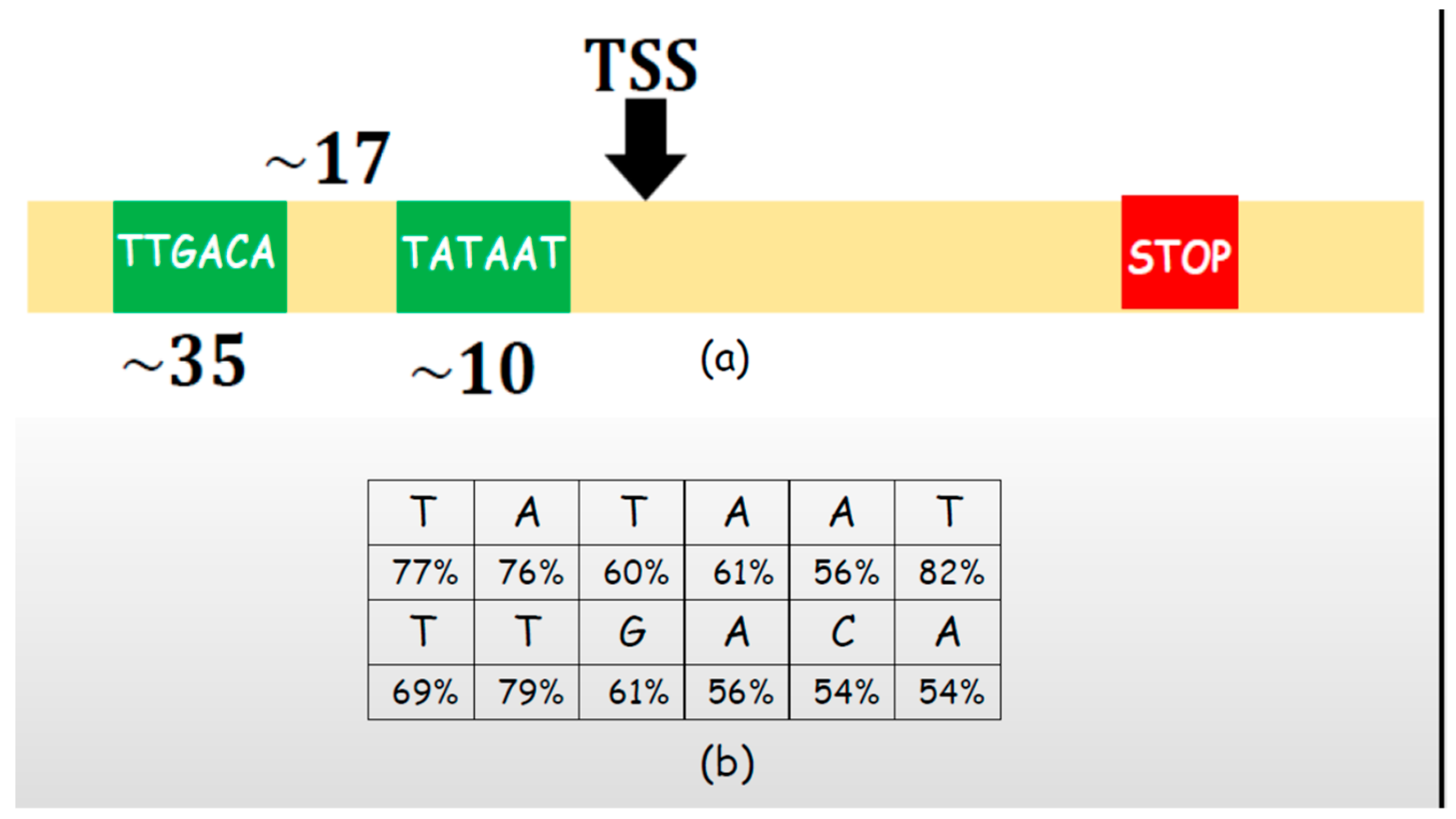 Entropy 26 00430 g005