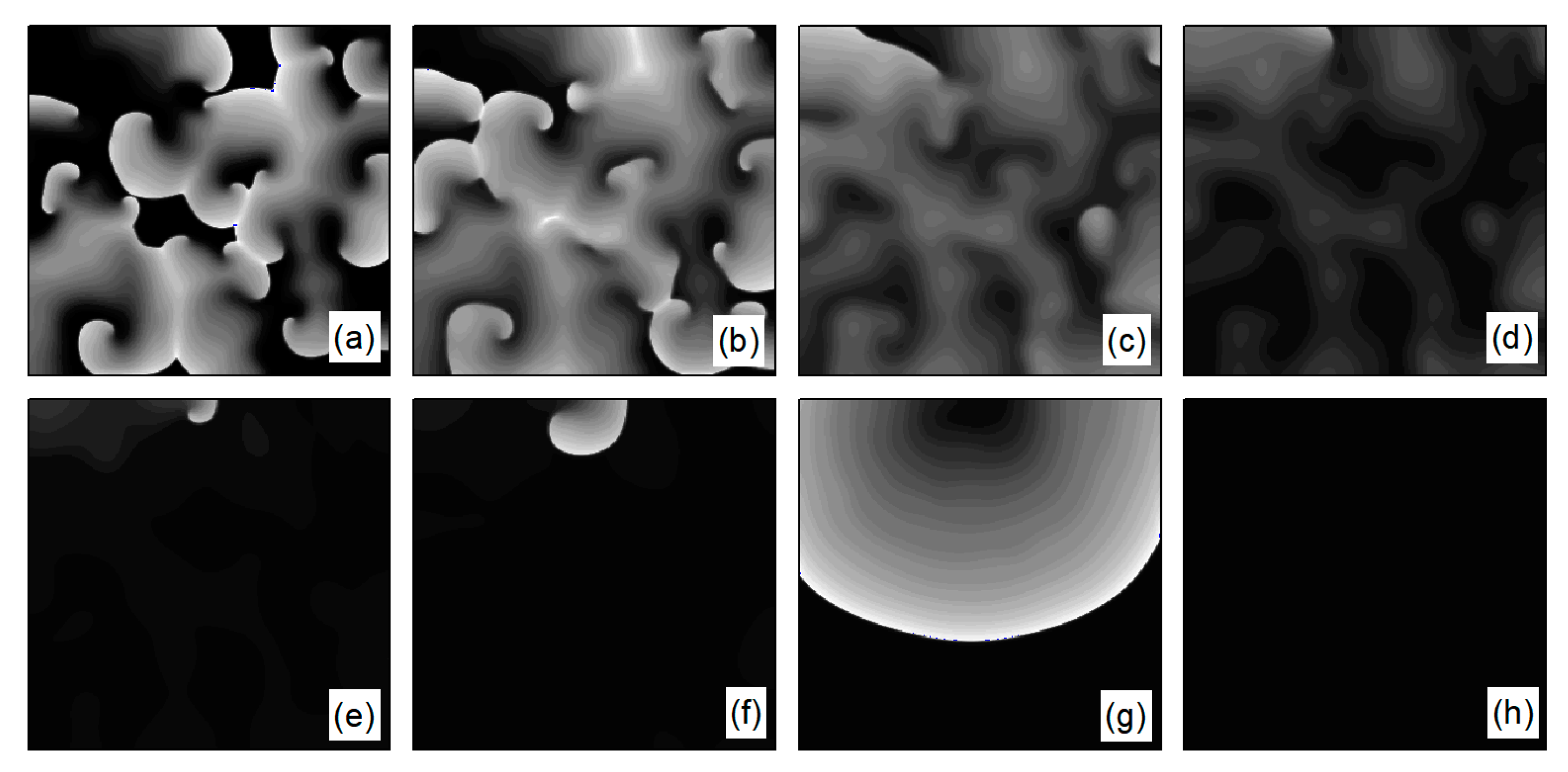 Entropy 26 00446 g015