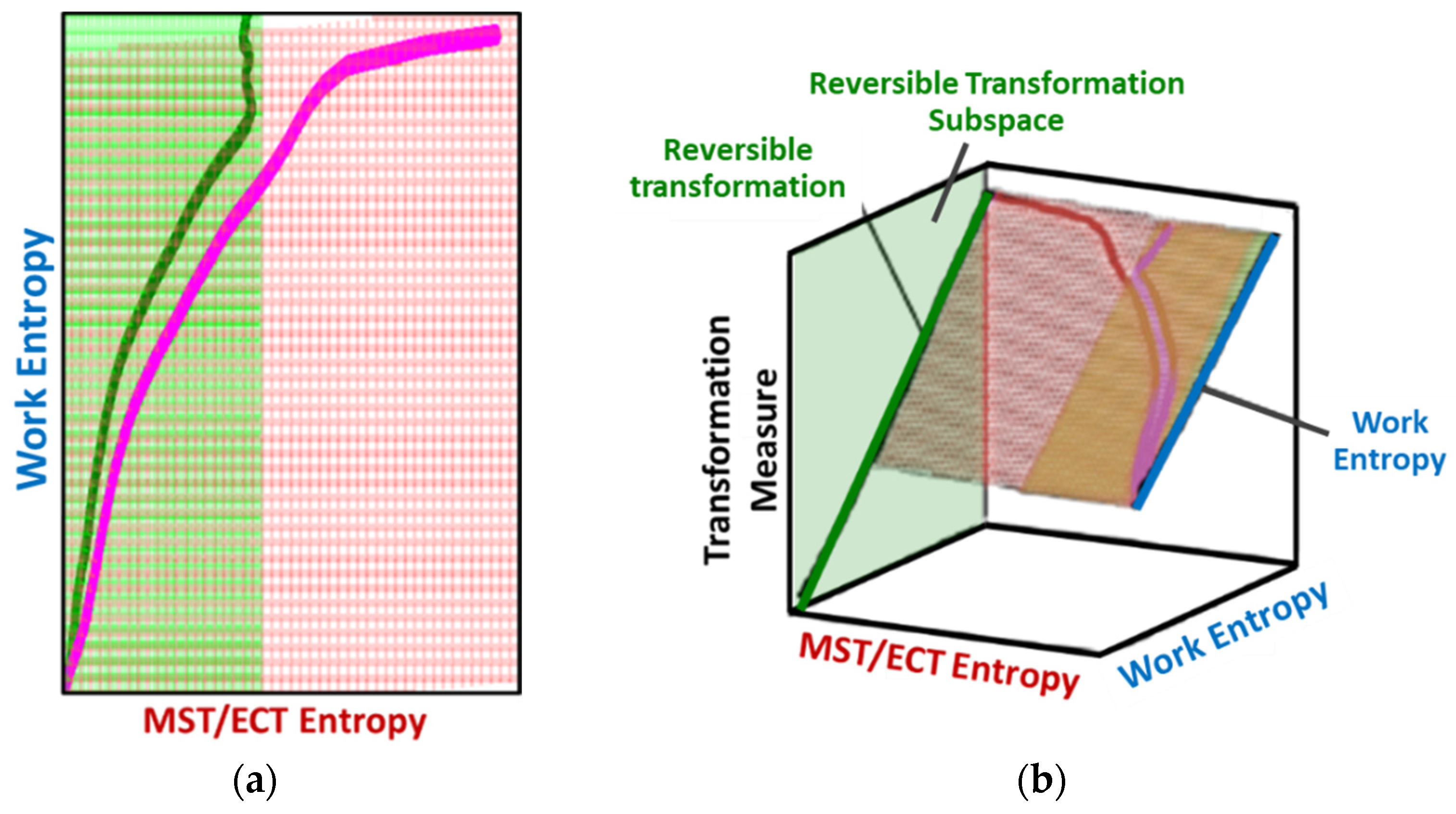 Entropy 26 00454 g003