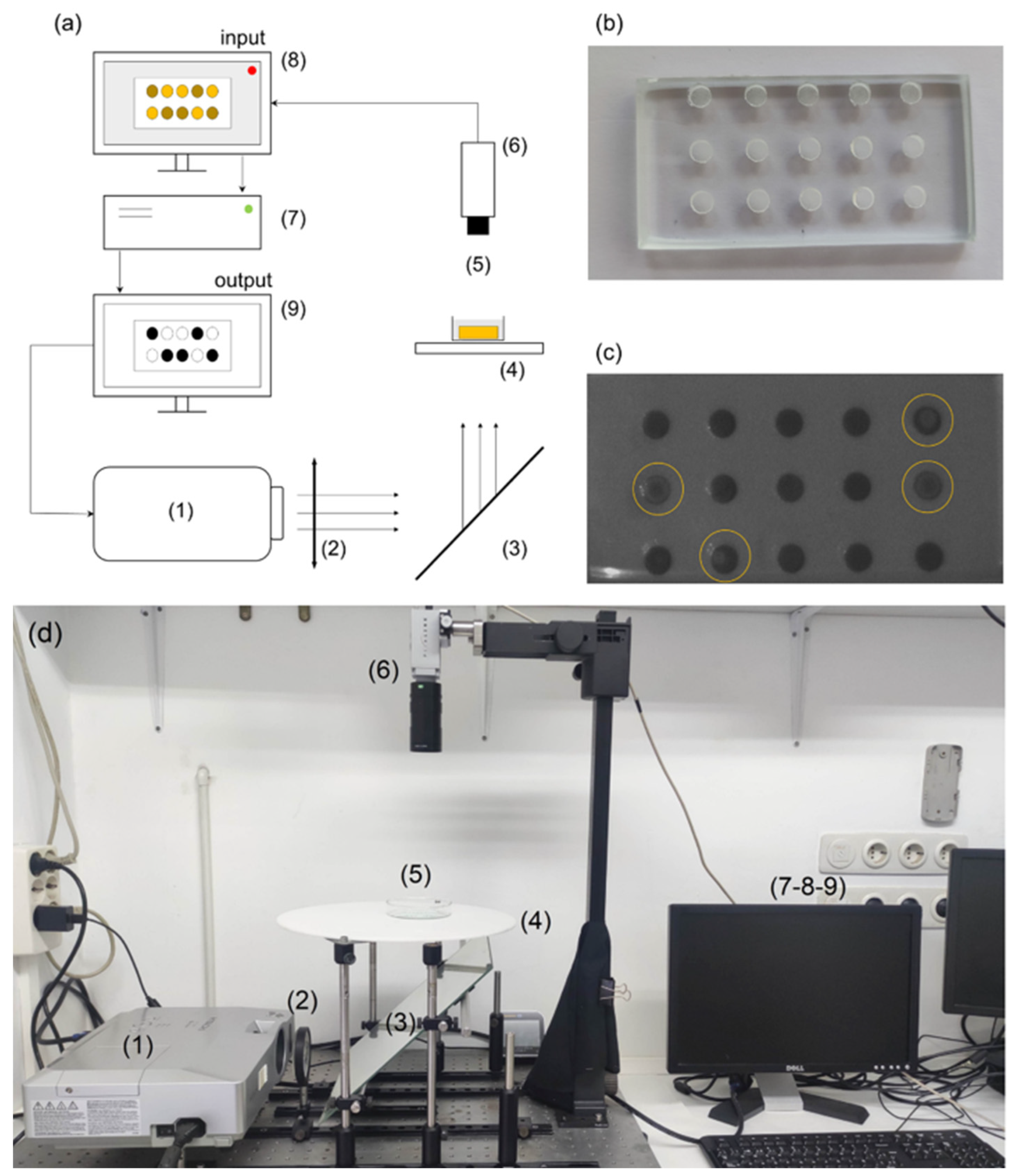 Entropy 26 00475 g002