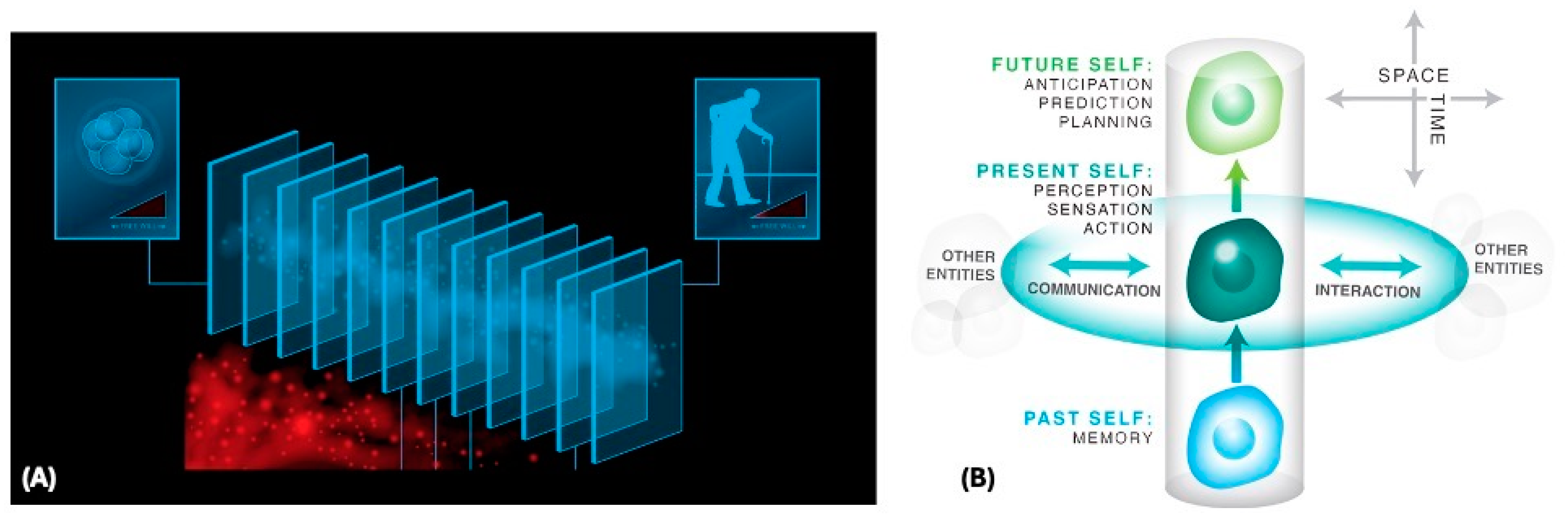 Entropy 26 00481 g001