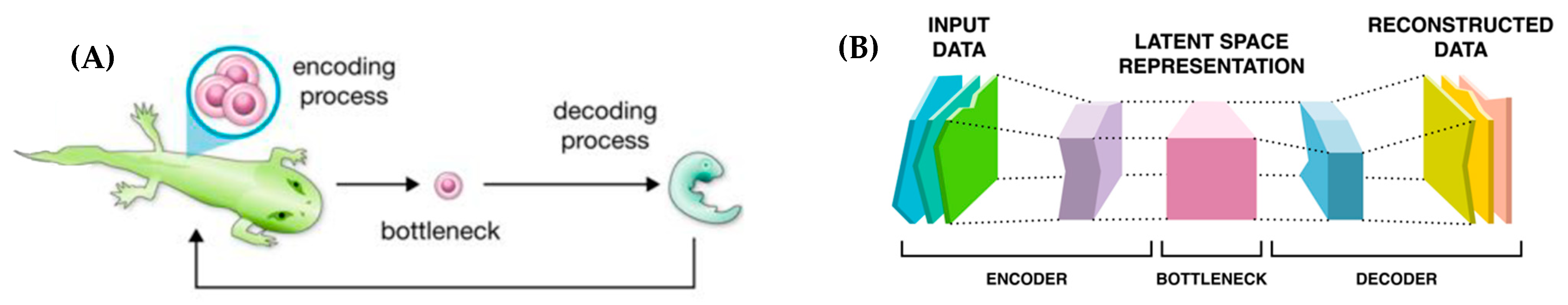 Entropy 26 00481 g003