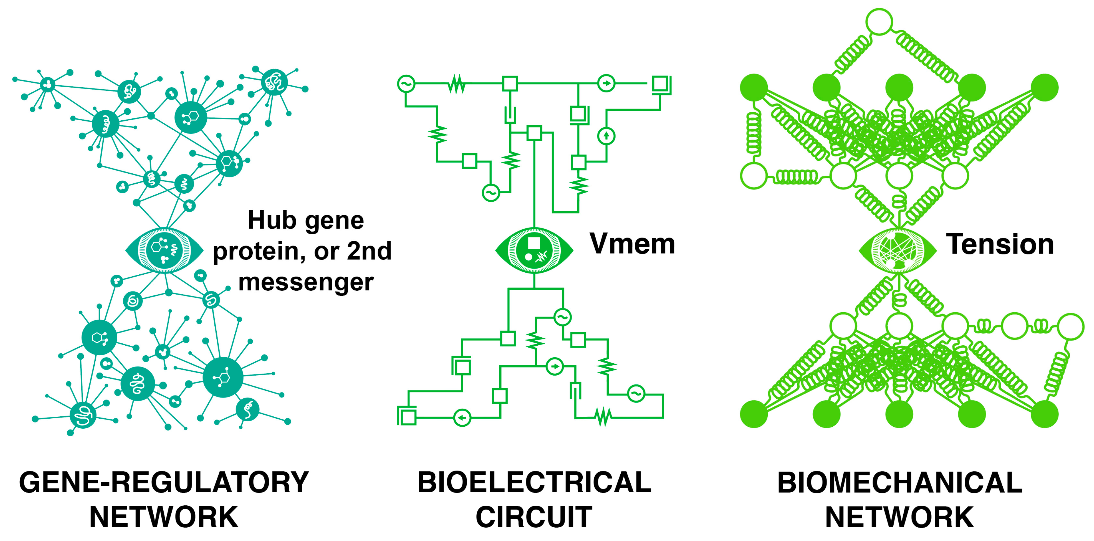 Entropy 26 00481 g007