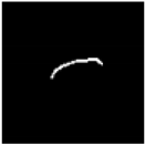 Entropy 26 00482 i006