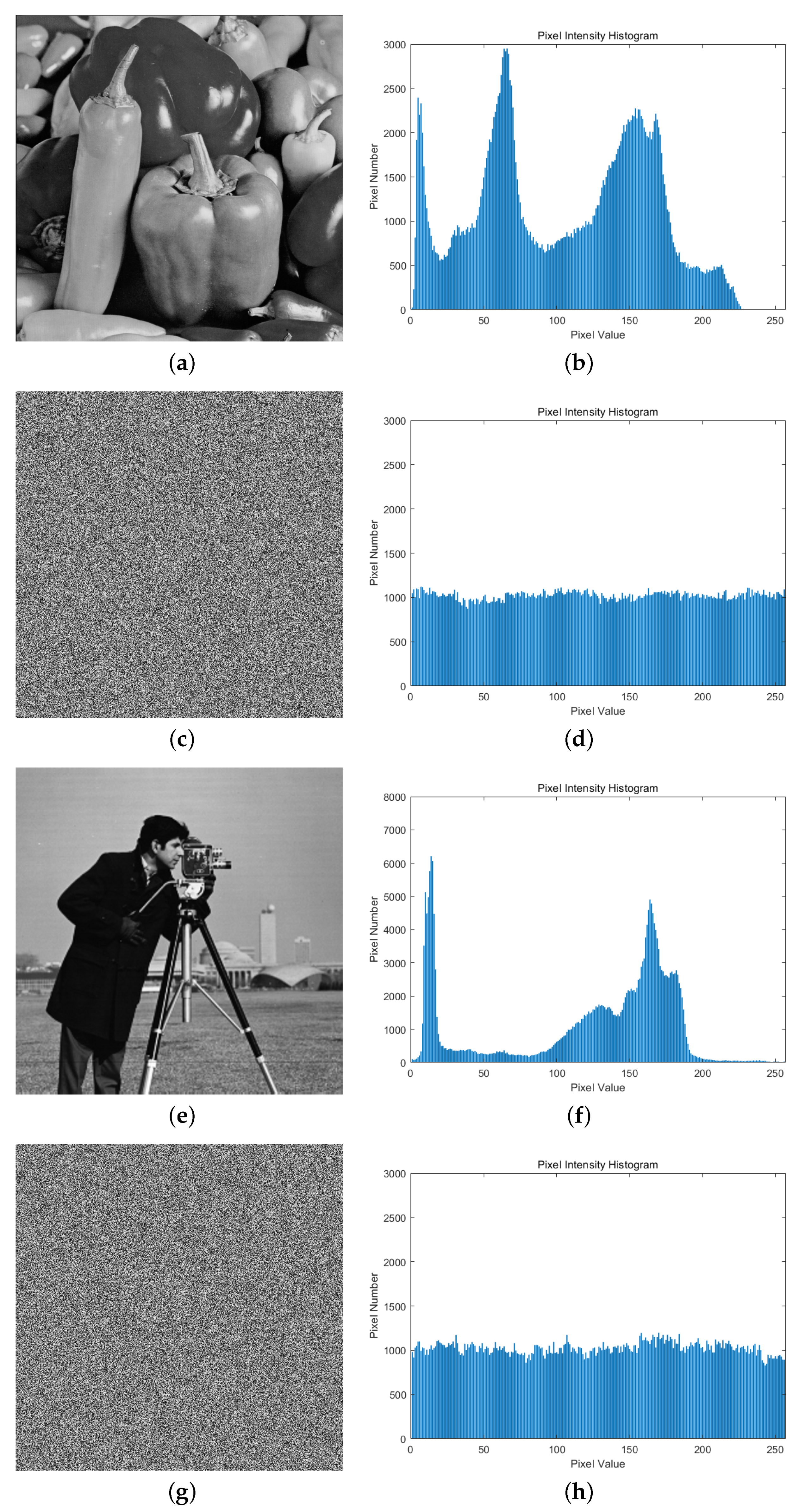 Entropy 26 00603 g008