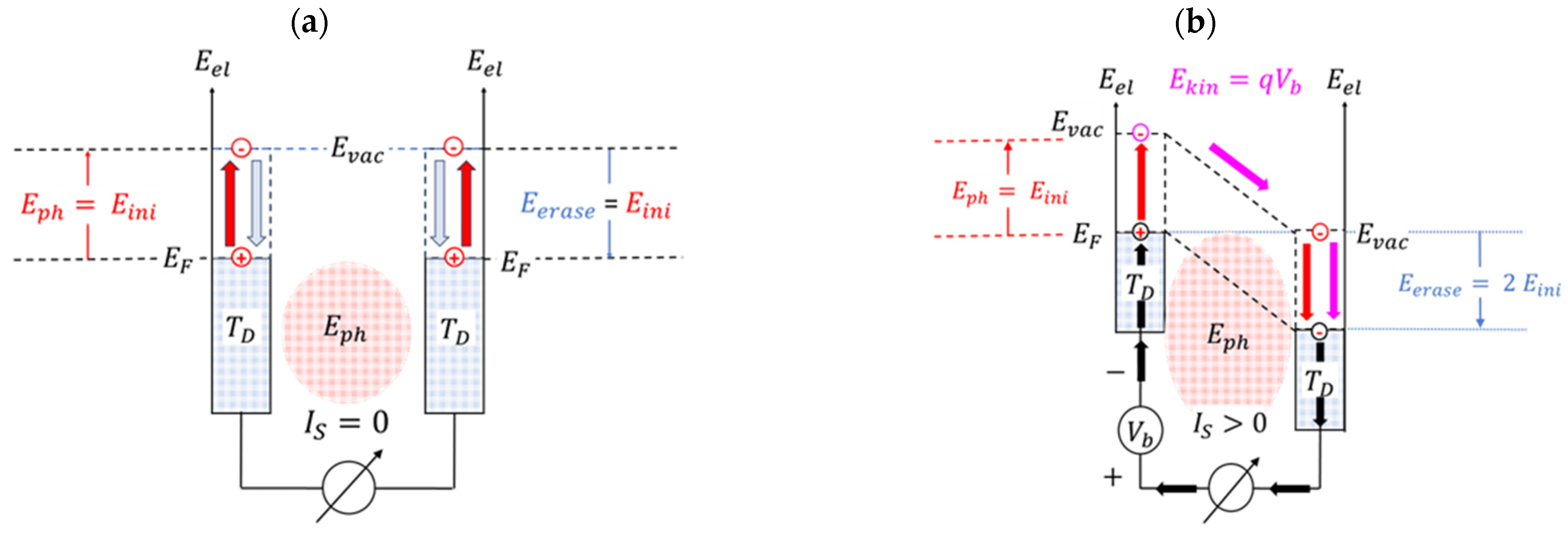 Entropy 26 00619 g005