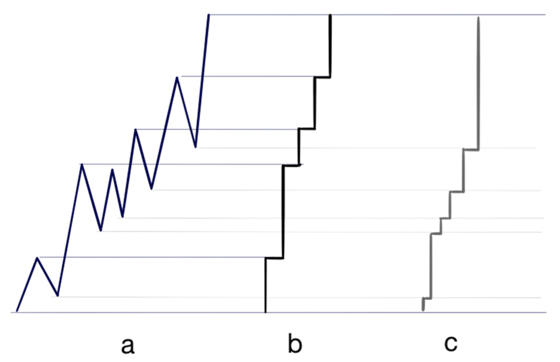 Entropy 26 00686 g003