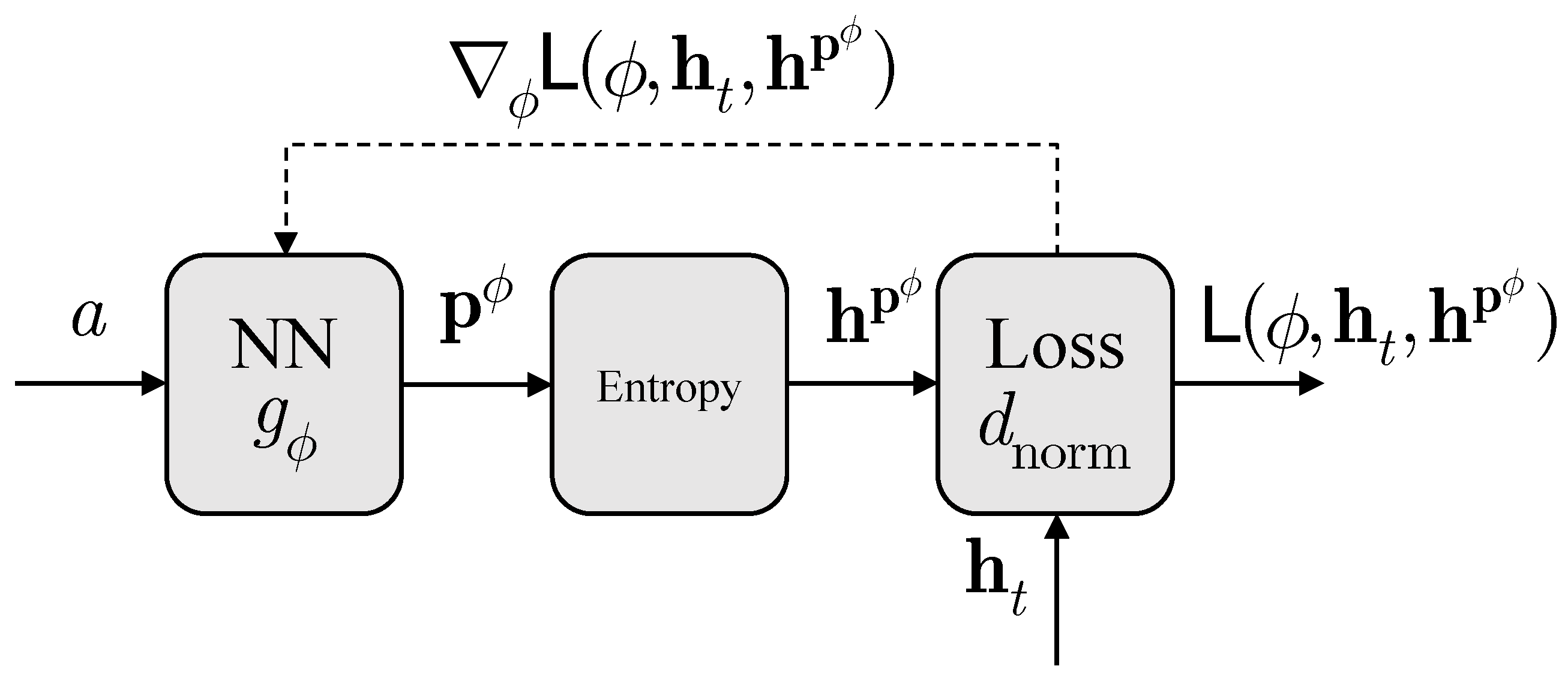 Entropy 26 00711 g001