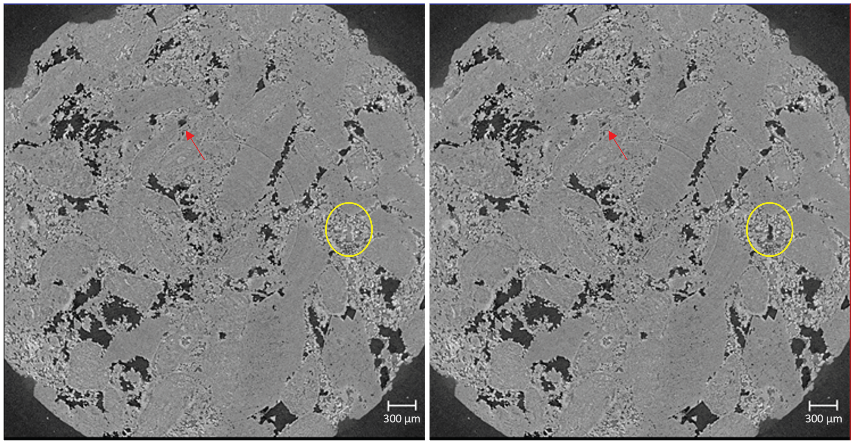 Entropy 26 00774 g003