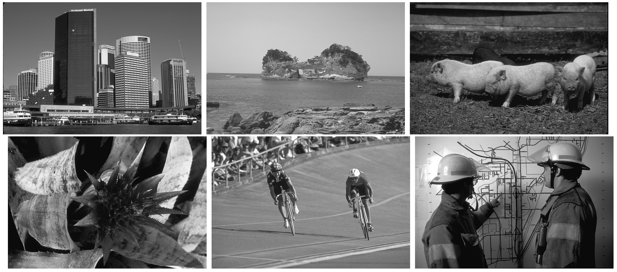 Entropy 26 00777 g001