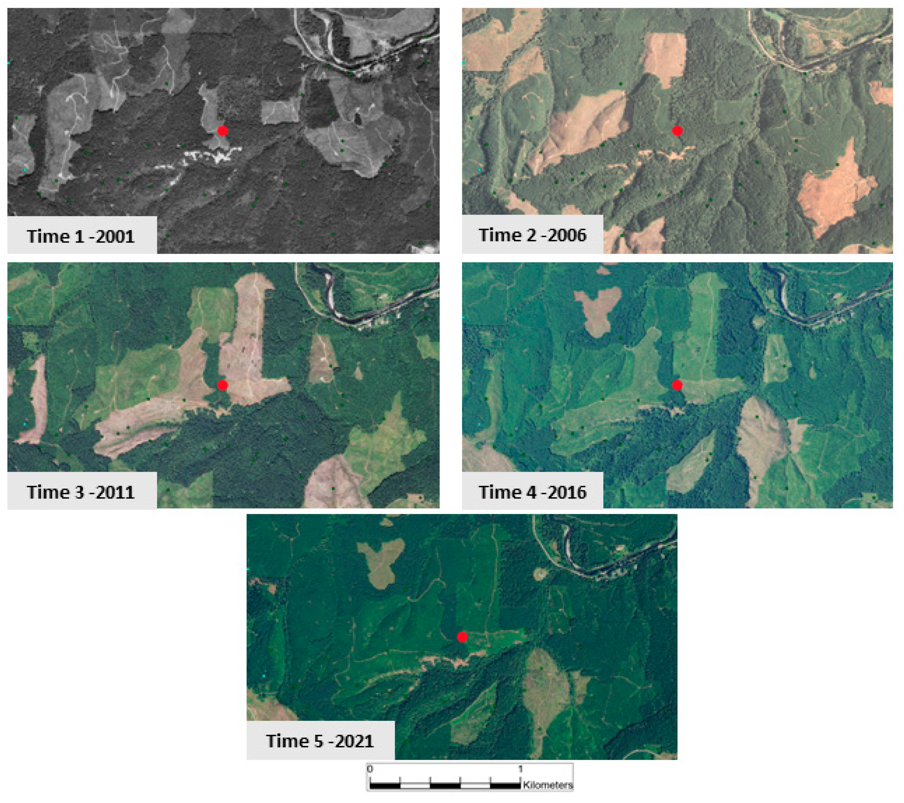 Entropy 26 00784 g007