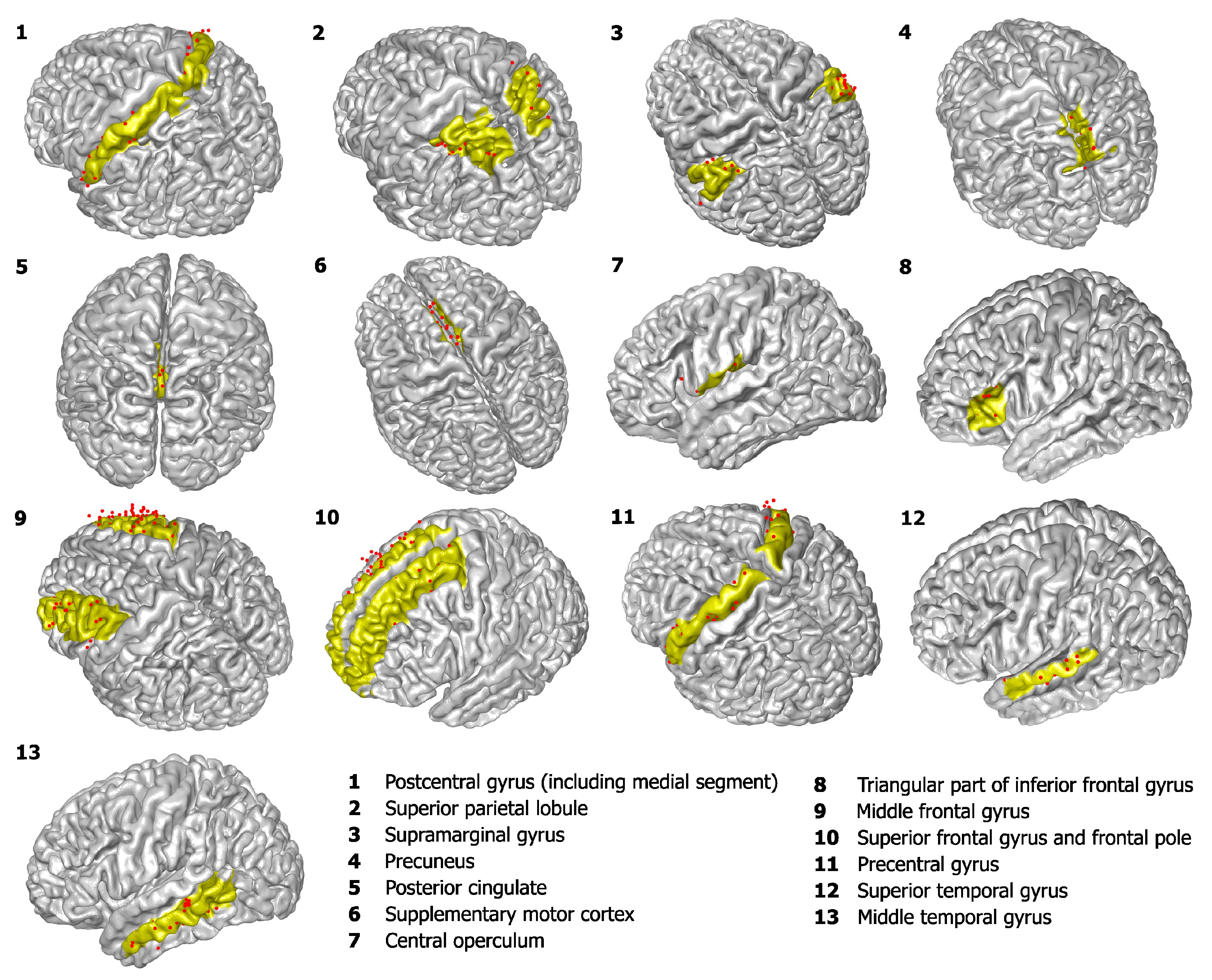 Entropy 26 00828 g001