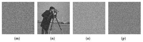 ひで A Novel Parameter-Variabled and Coupled Chaotic System and Its