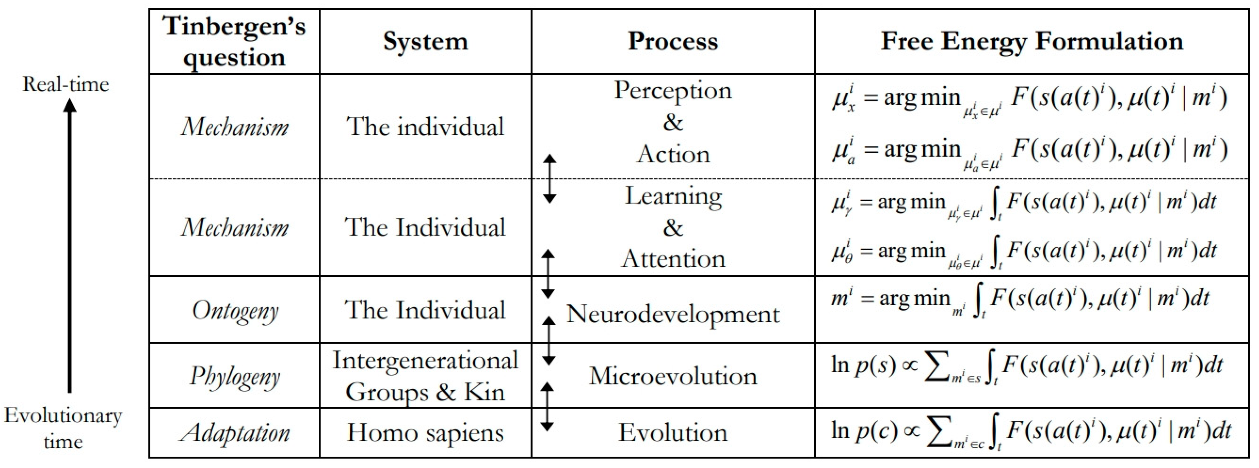 Entropy 26 00833 g002