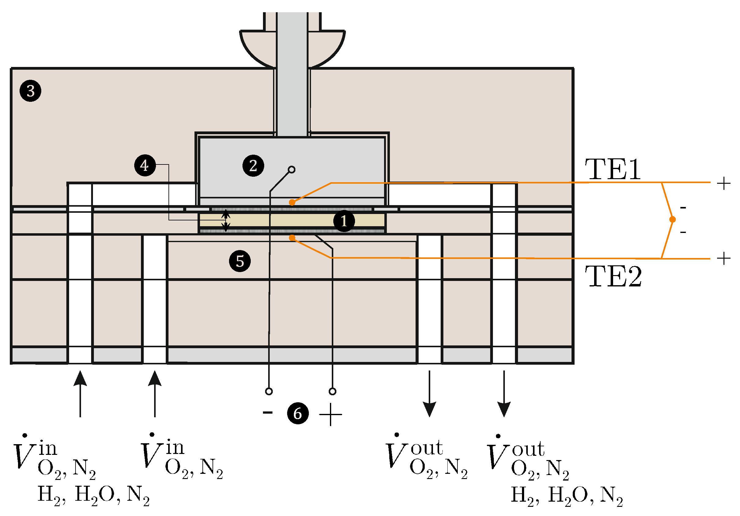 Entropy 26 00872 g002