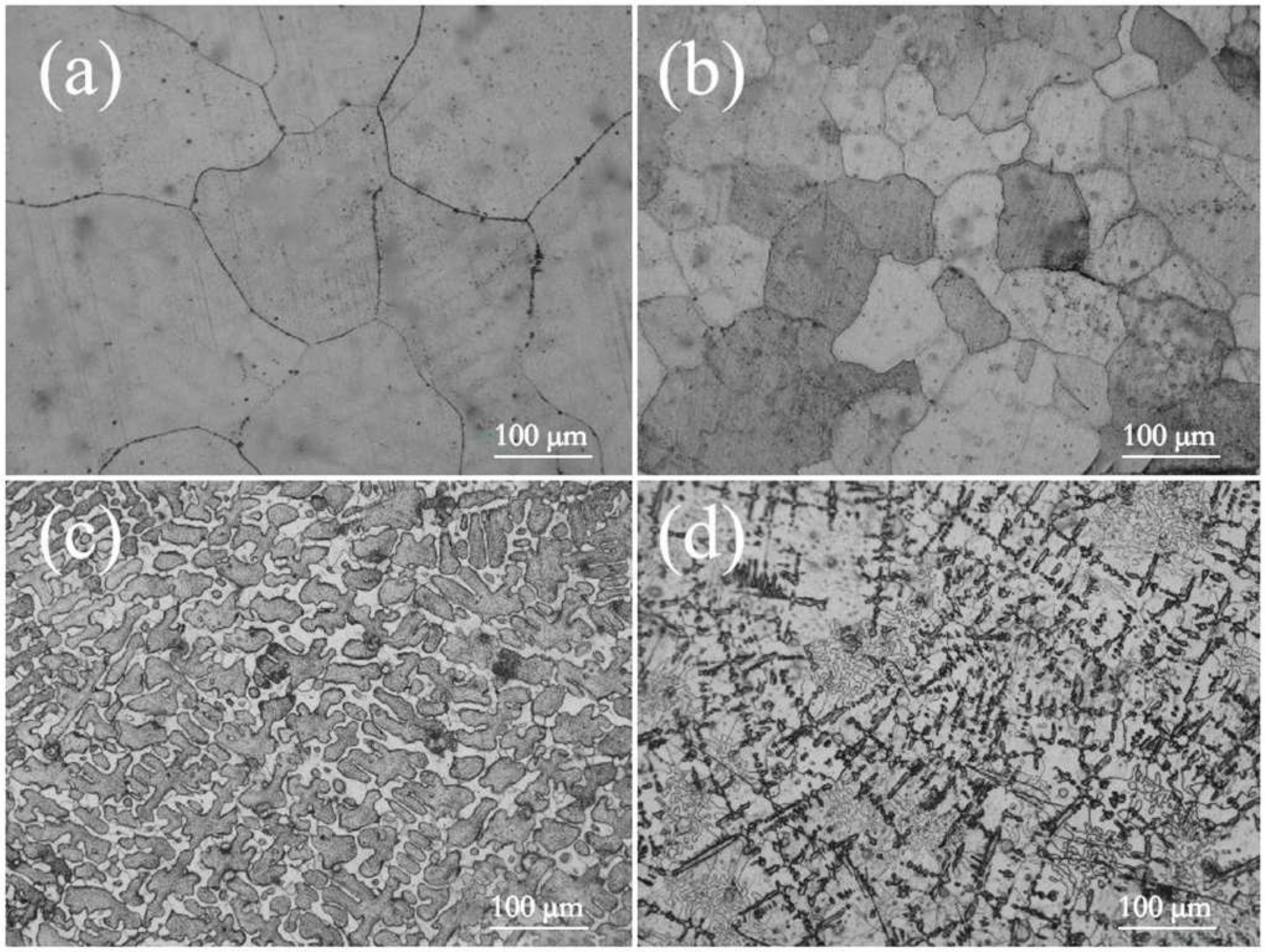 Entropy 26 00897 g003