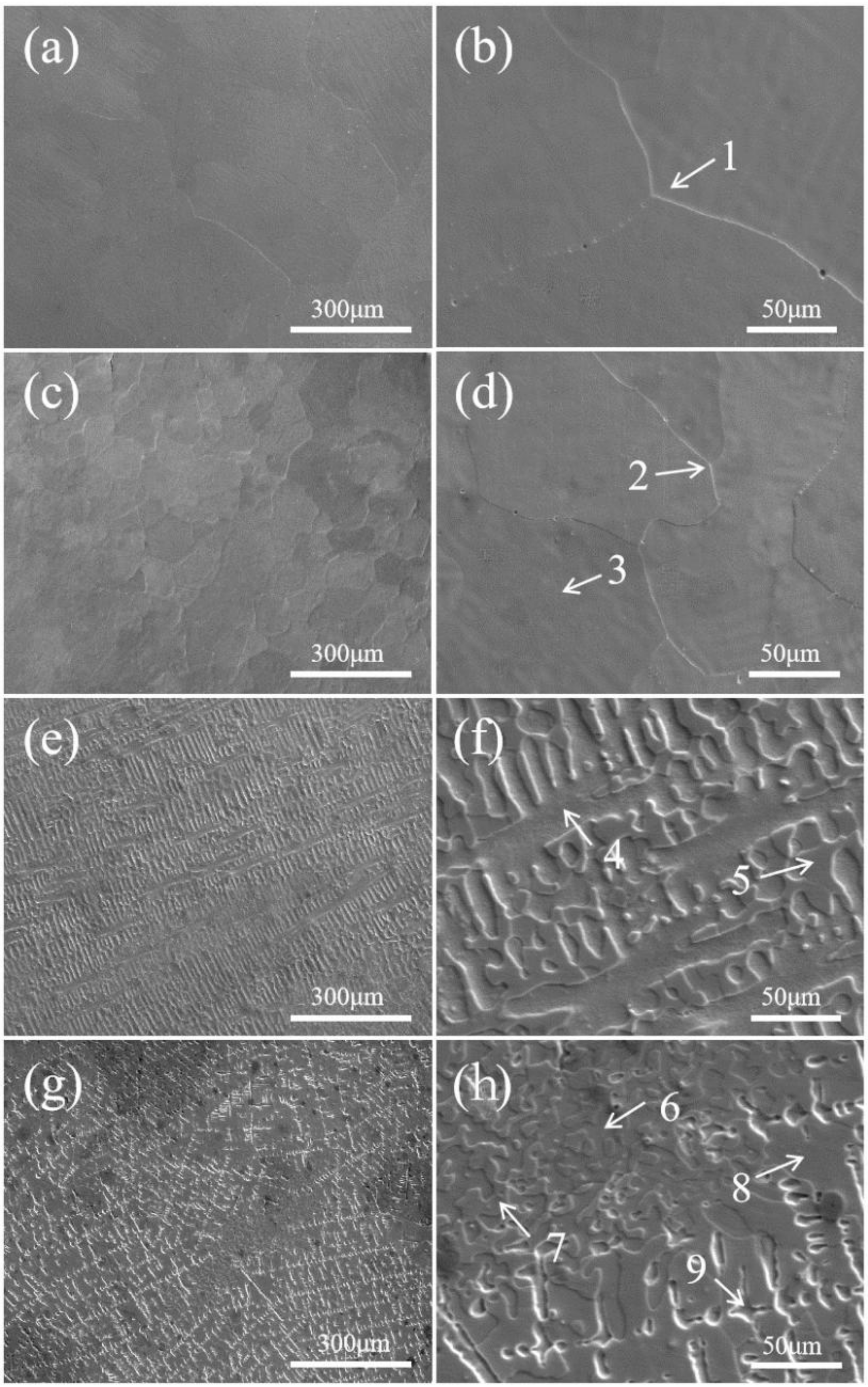 Entropy 26 00897 g005