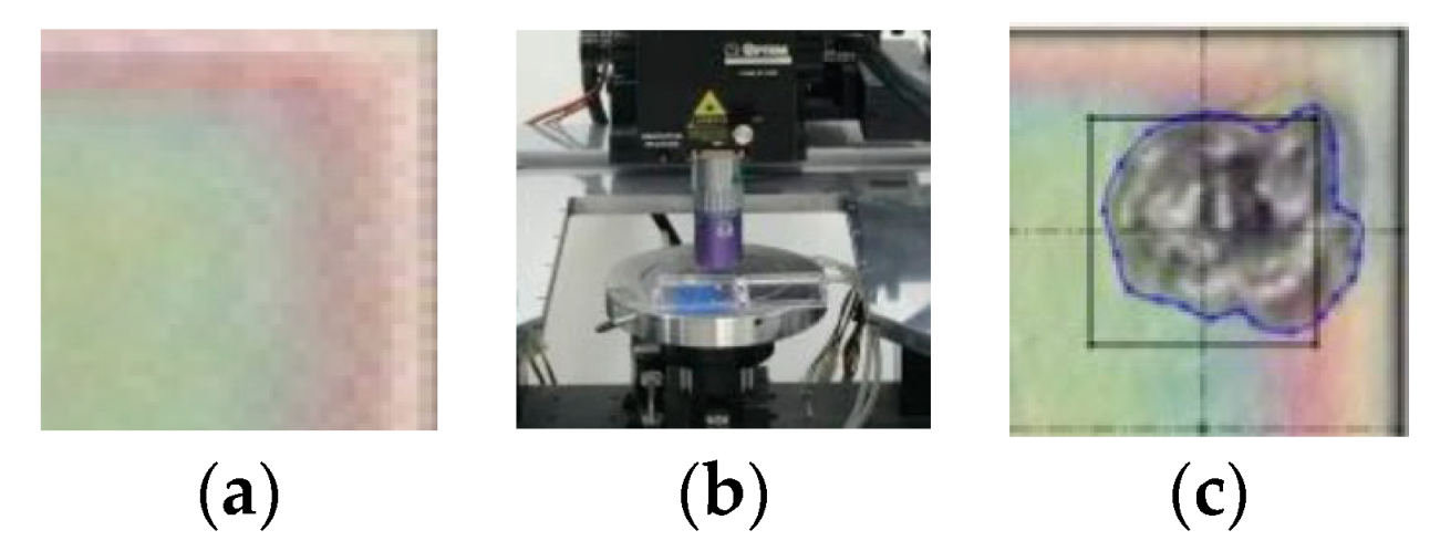 Entropy 26 00909 g003
