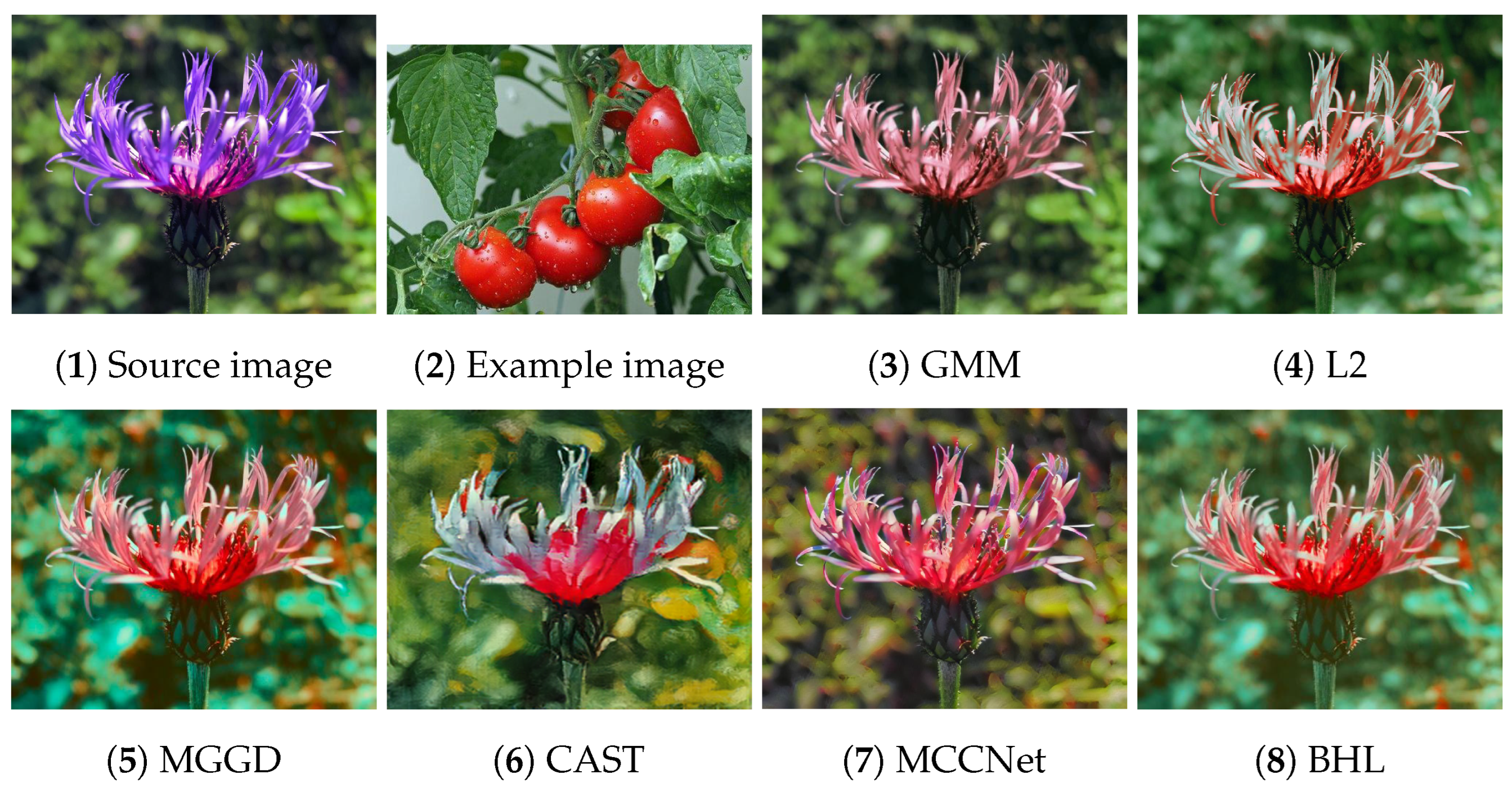 Entropy 26 00918 g002