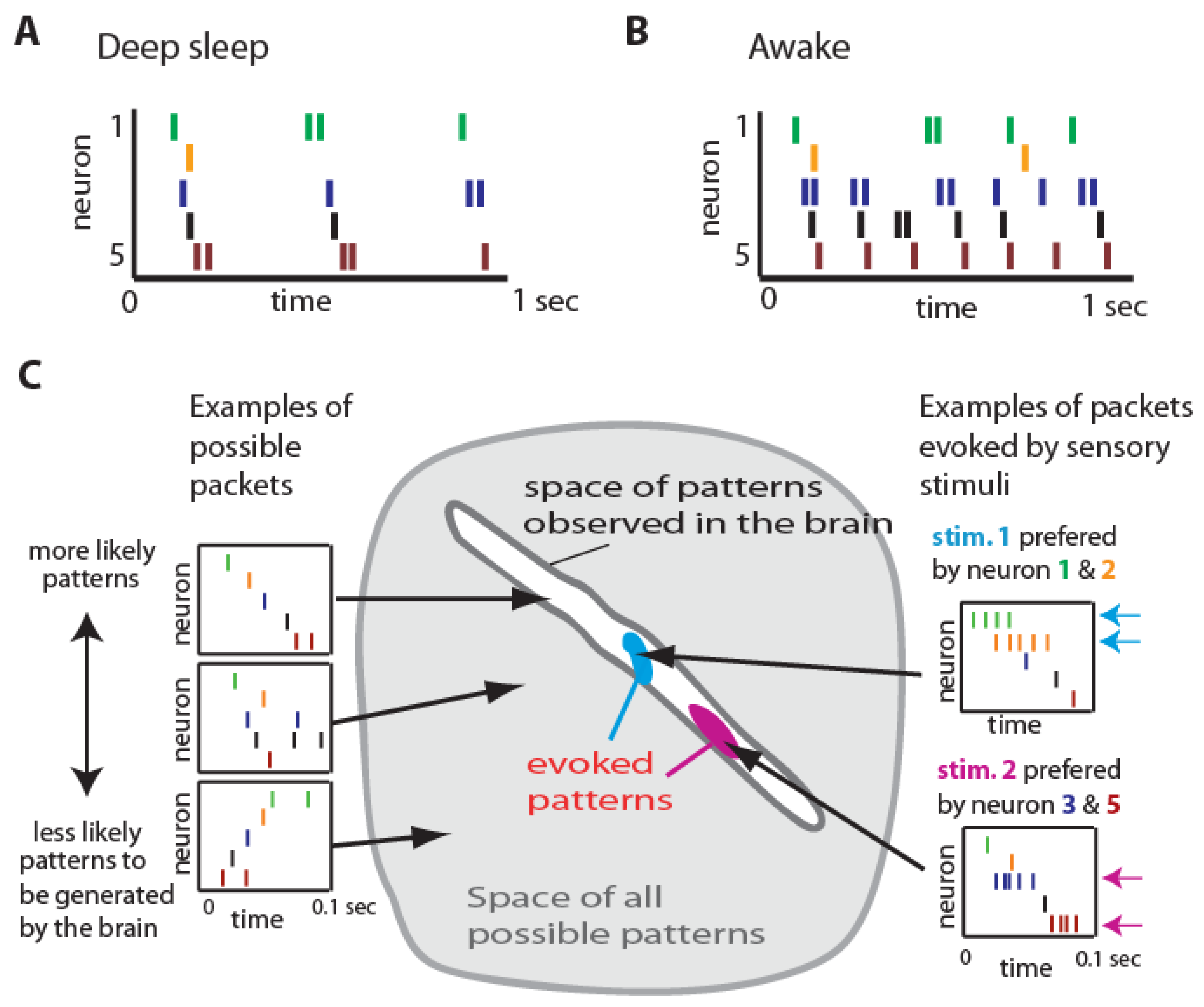 Entropy 26 00967 g001