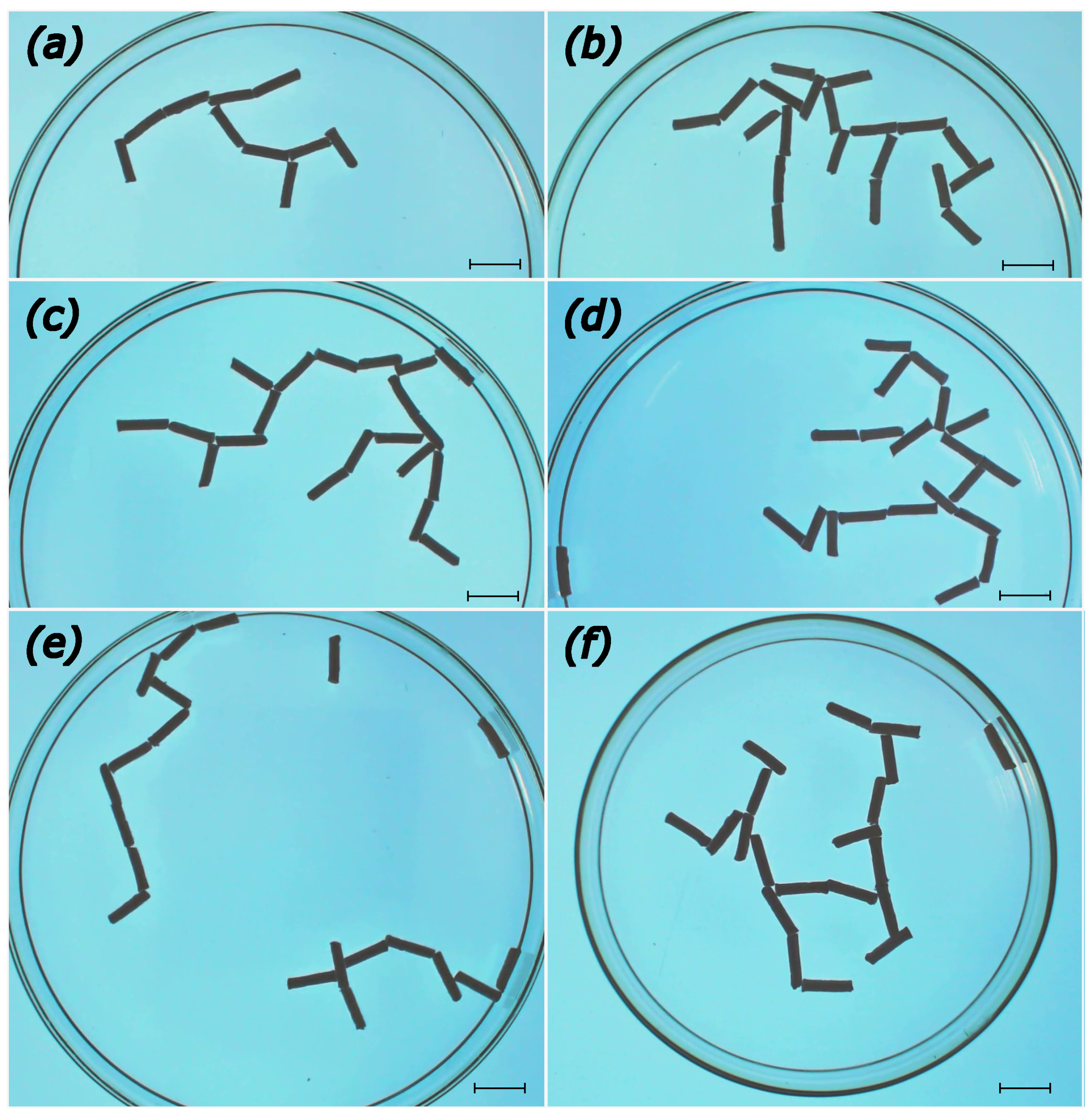 Entropy 26 00980 g004