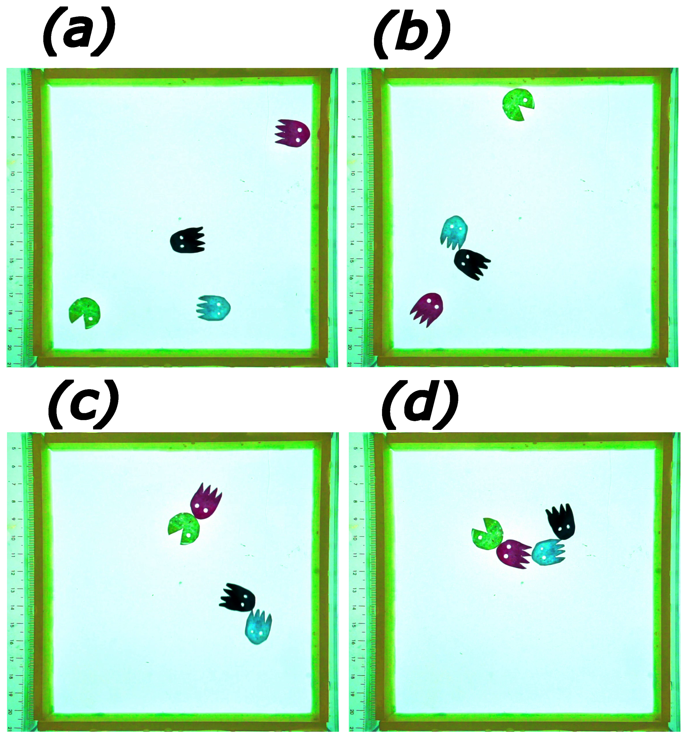 Entropy 26 00980 g006