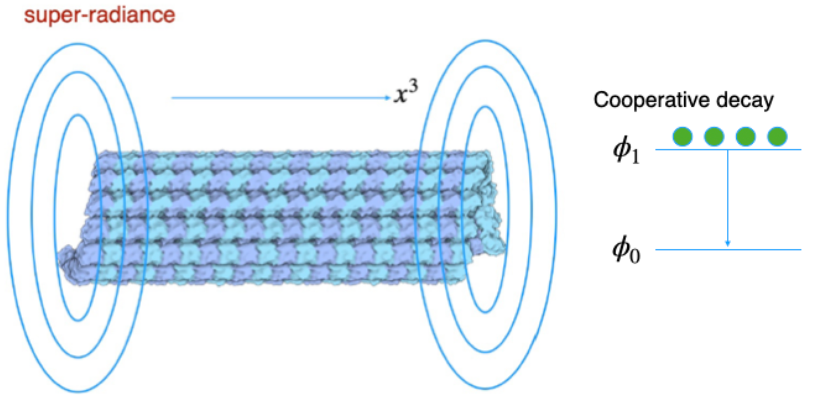 Entropy 26 00981 g002