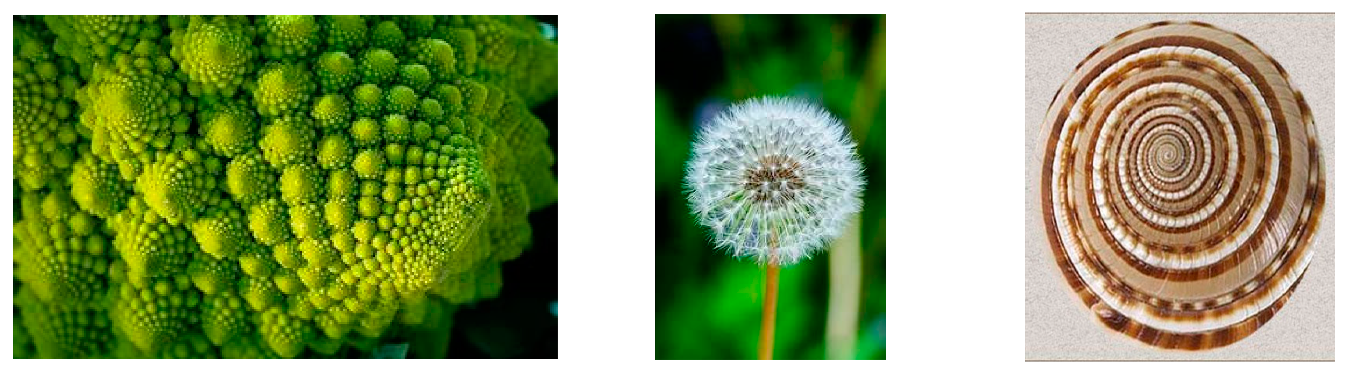 Entropy 26 00991 g016