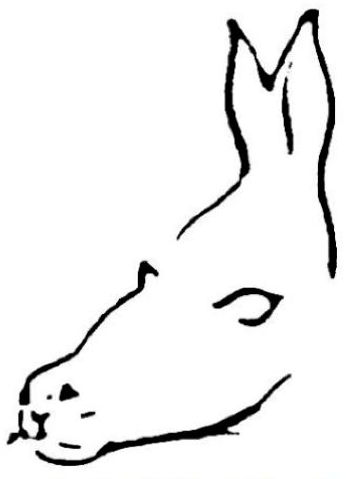 Entropy 26 00991 g036