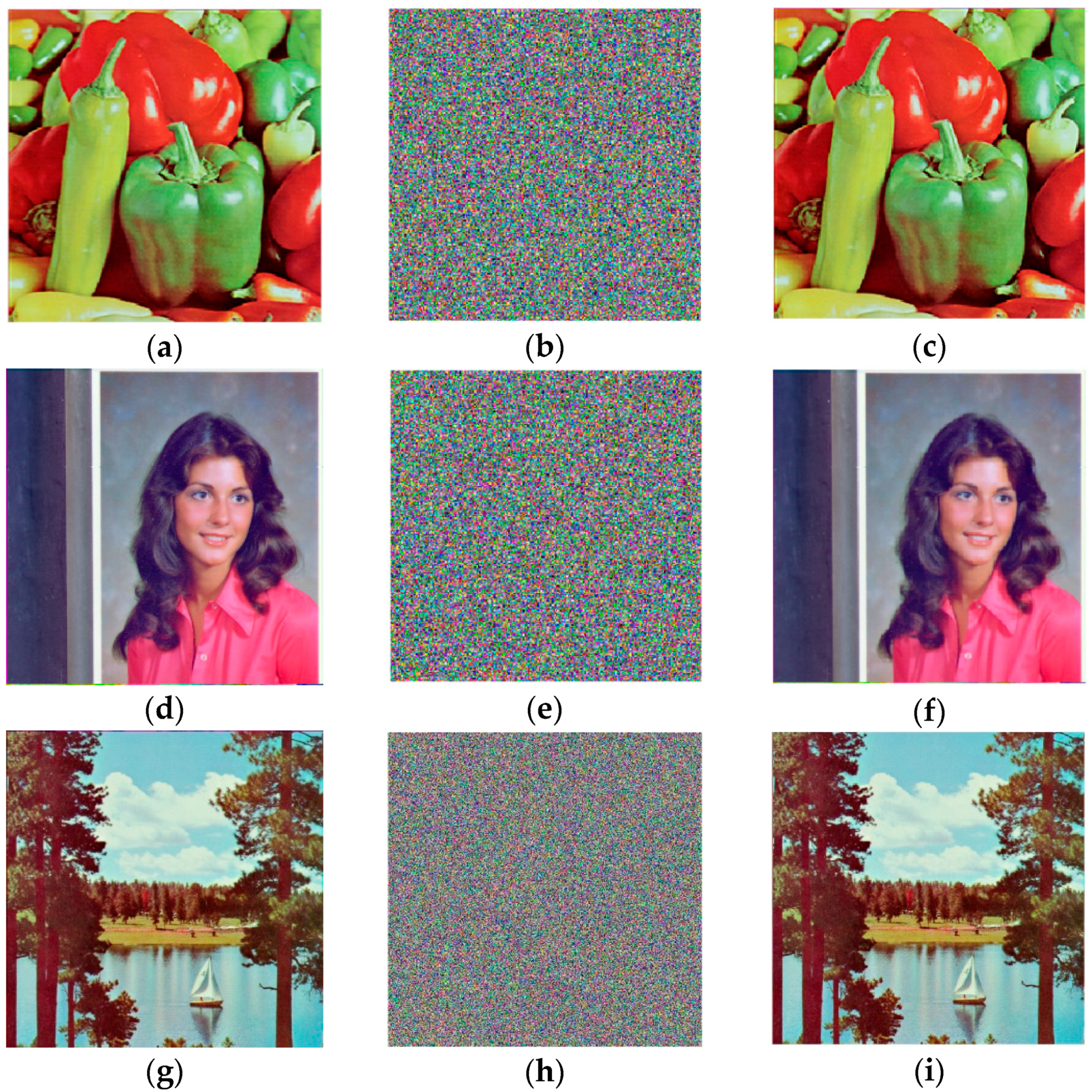 Entropy 26 01013 g010